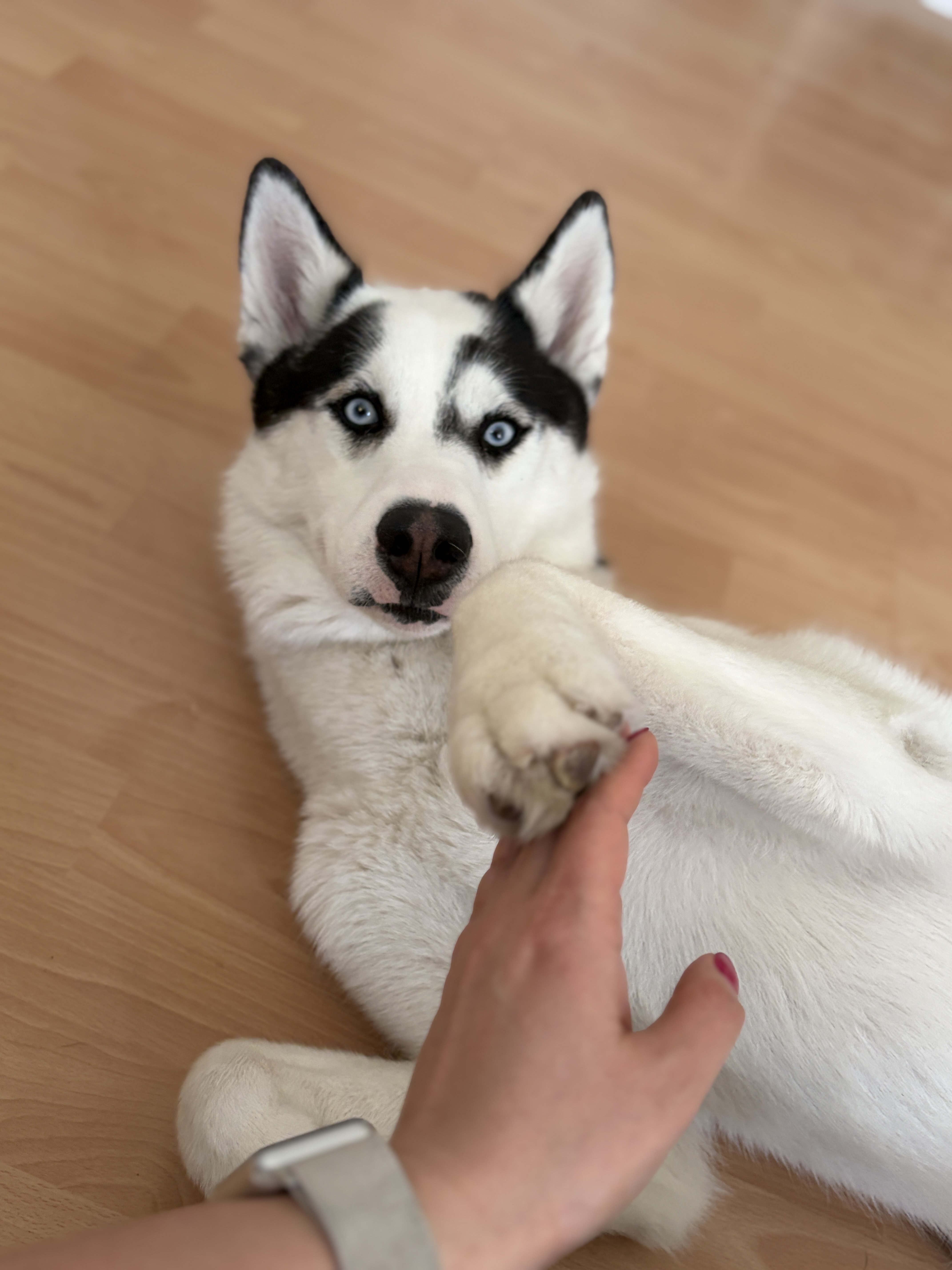 image-22