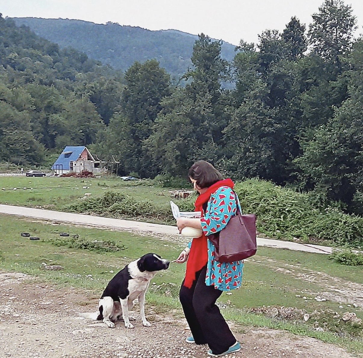image-3