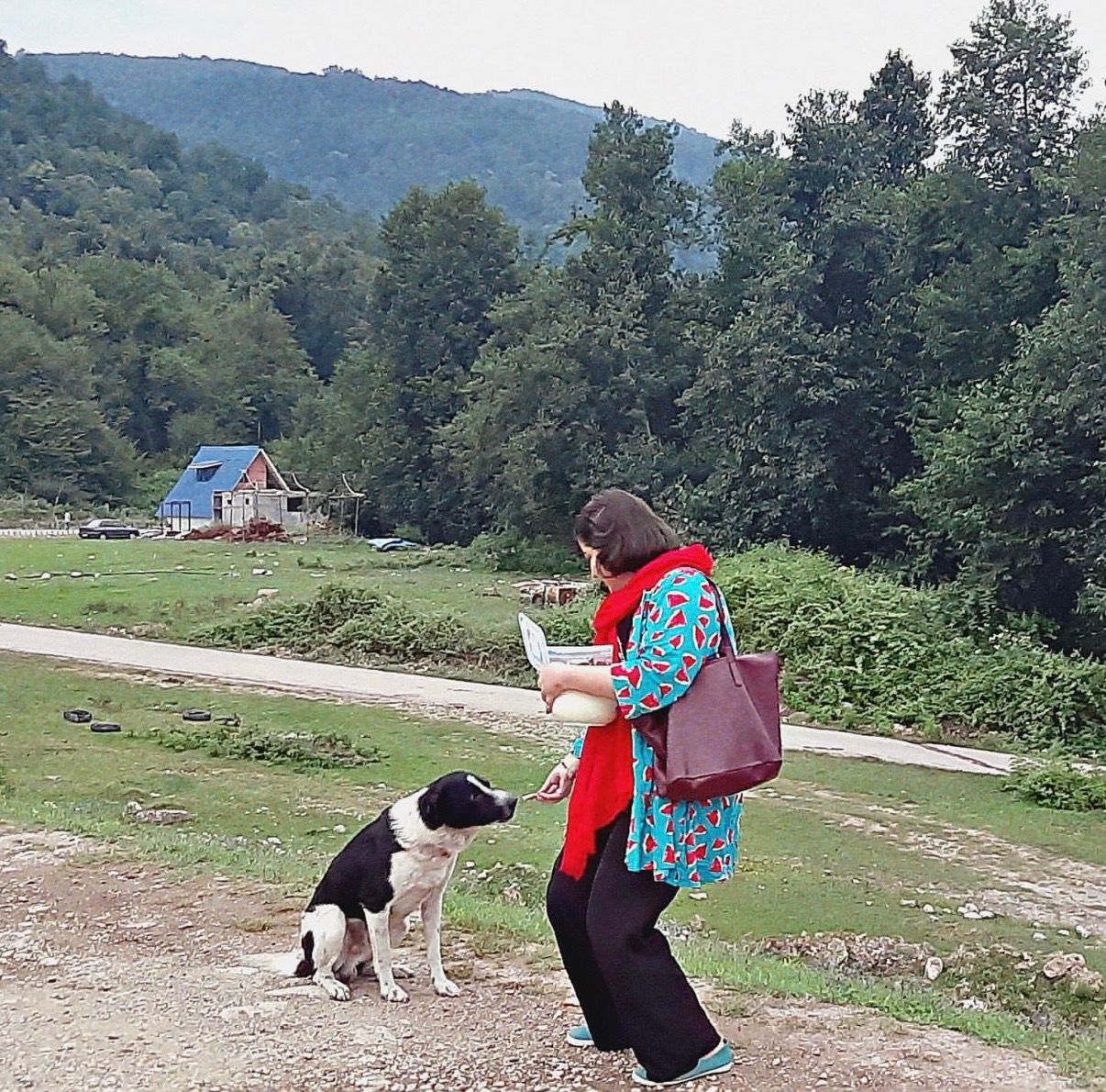 image-3