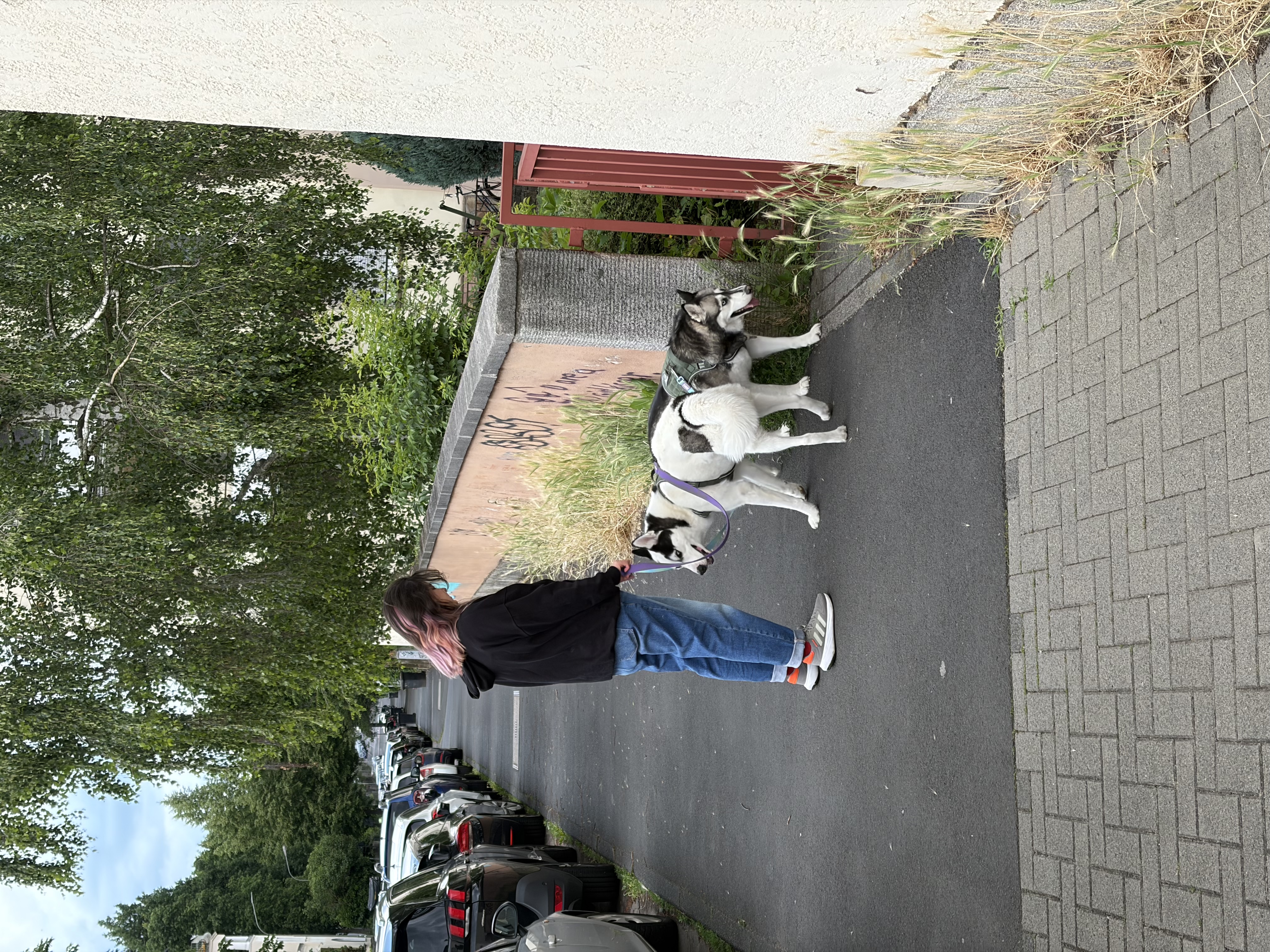 image-17