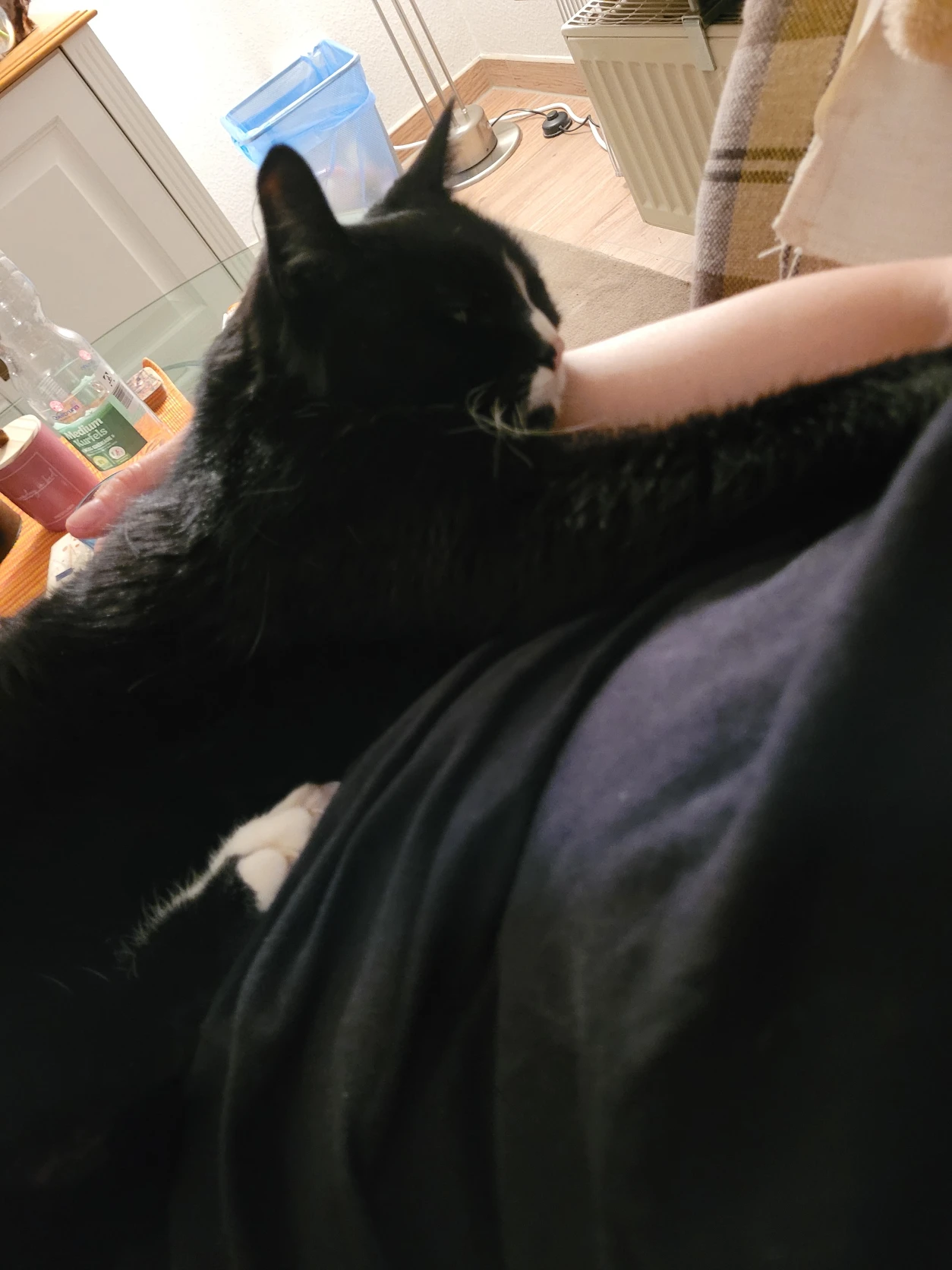 image-7
