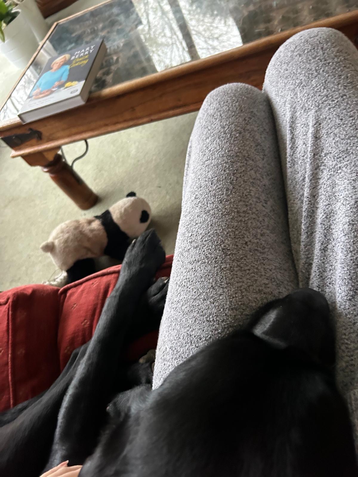 image-12