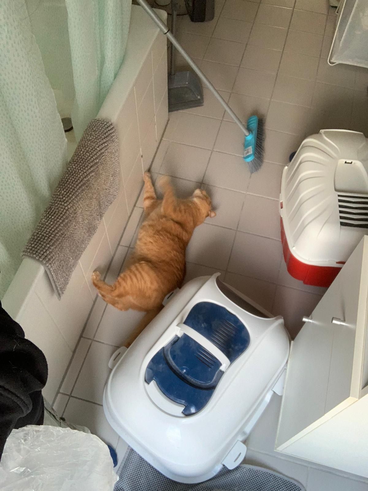 image-7