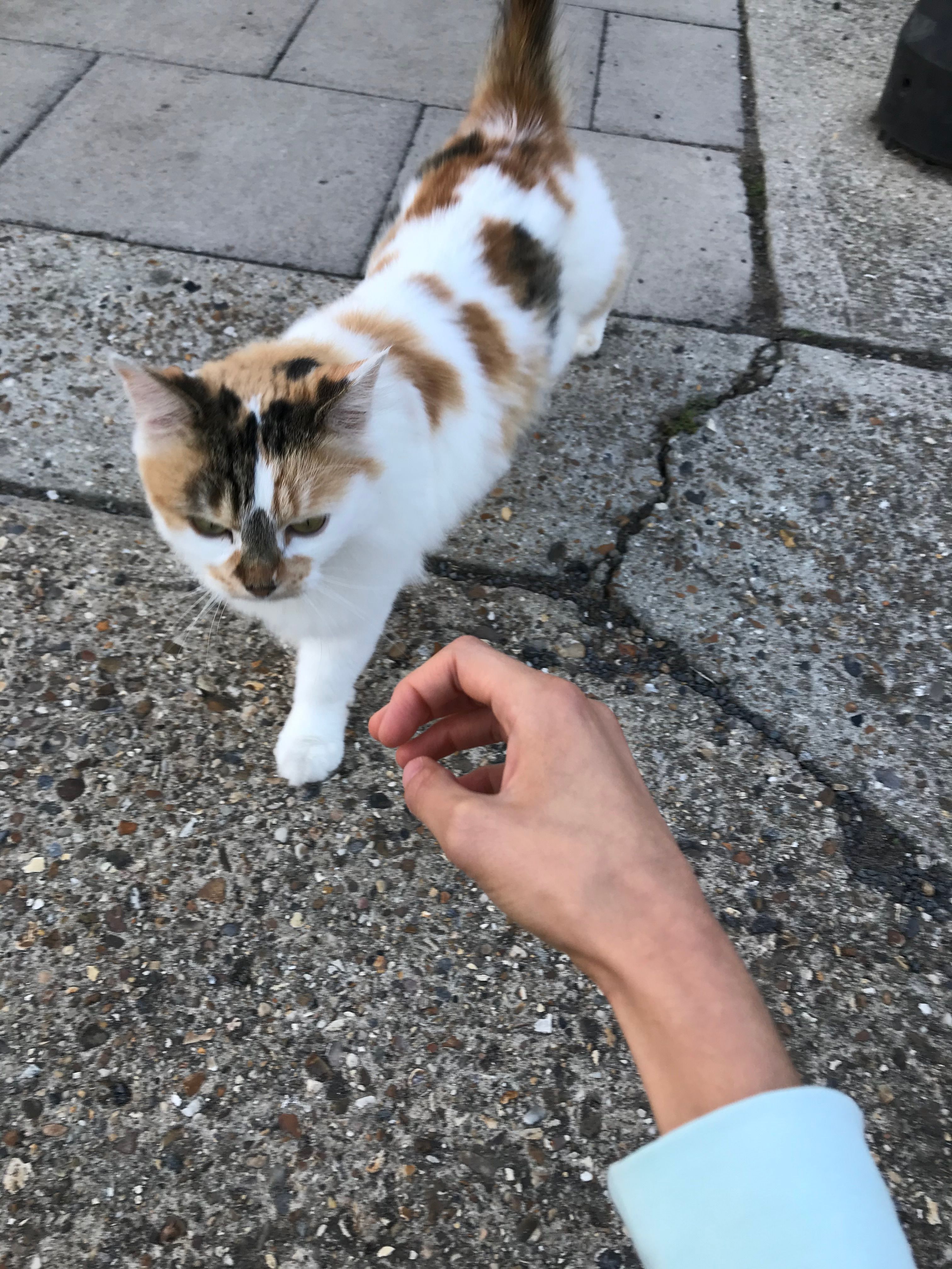 image-15
