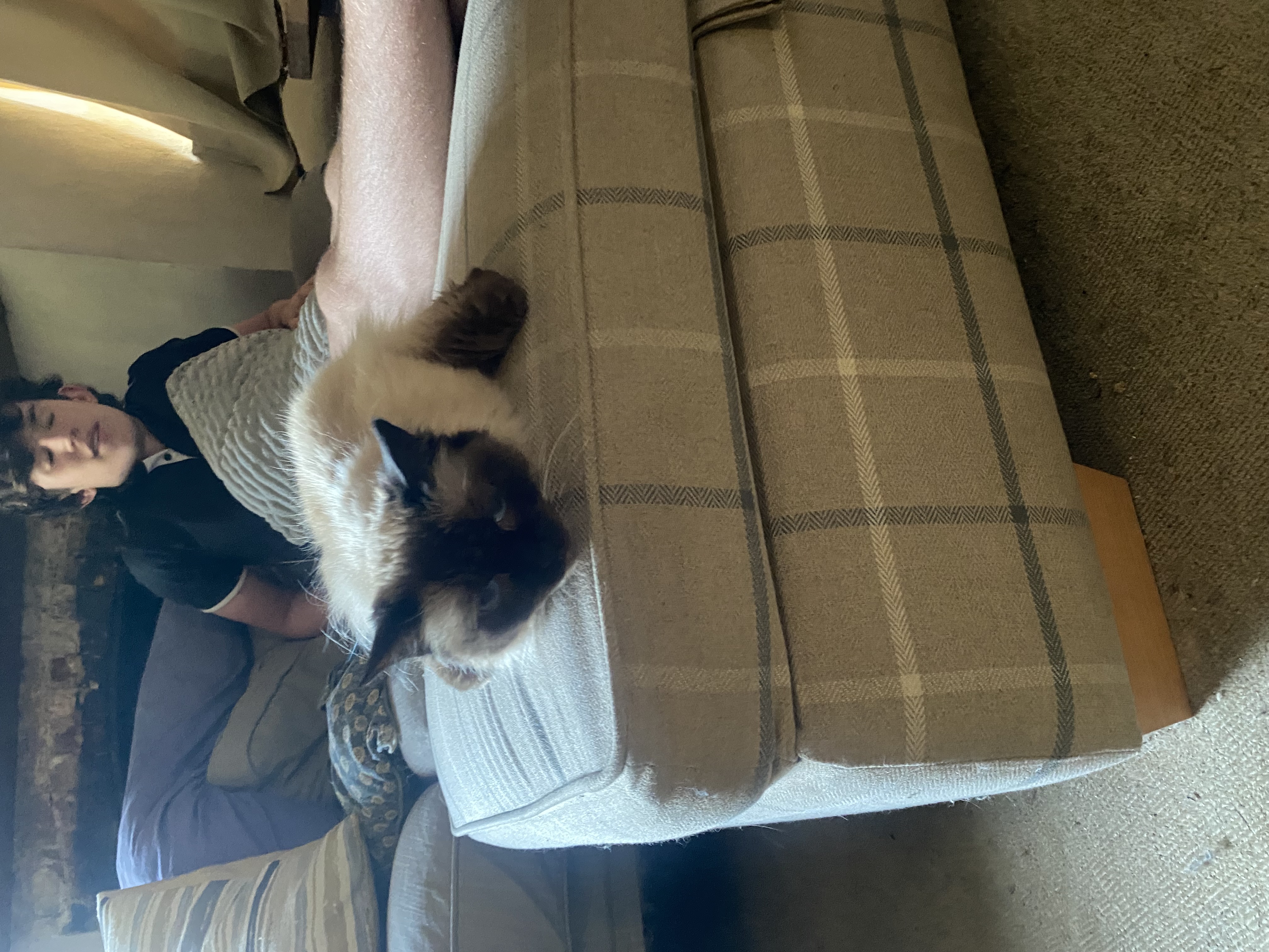 image-7