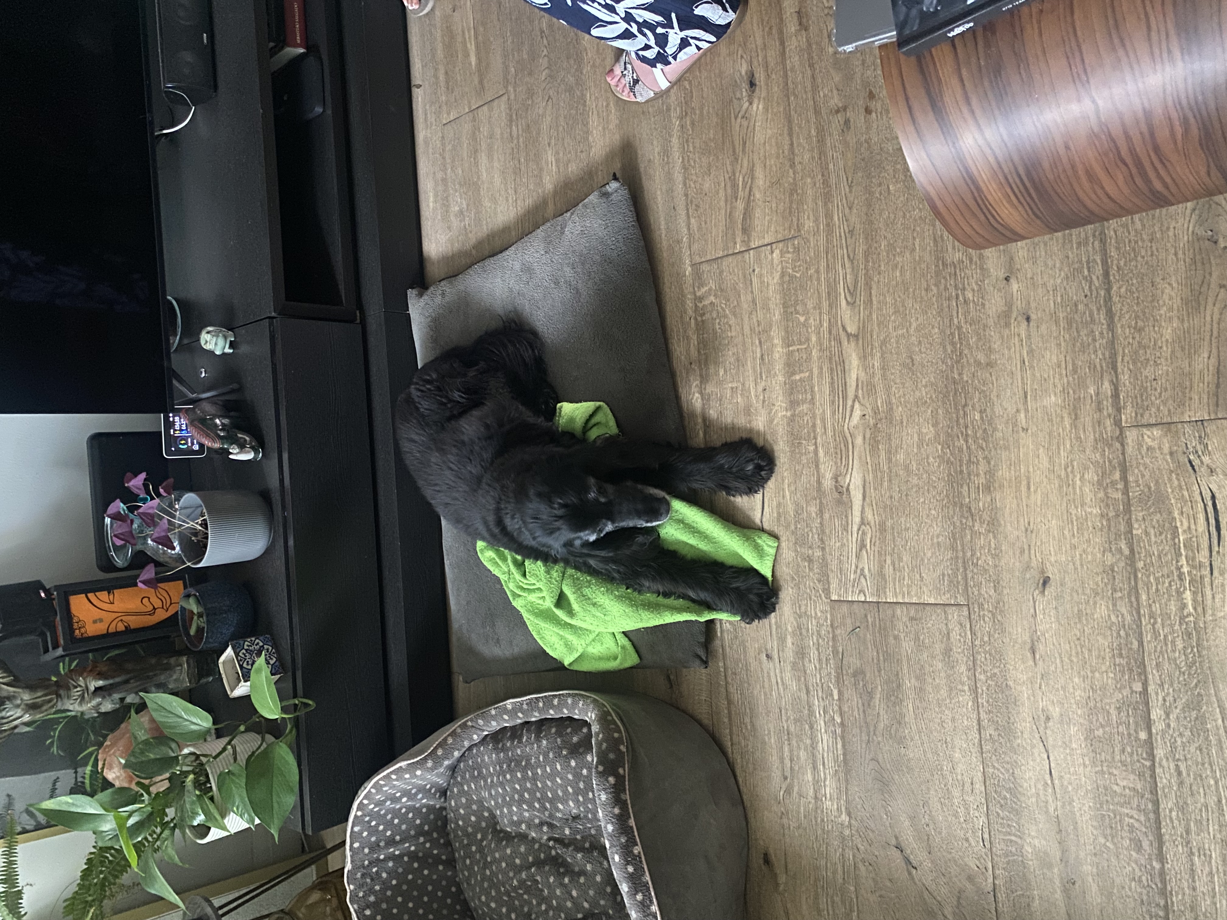 image-9