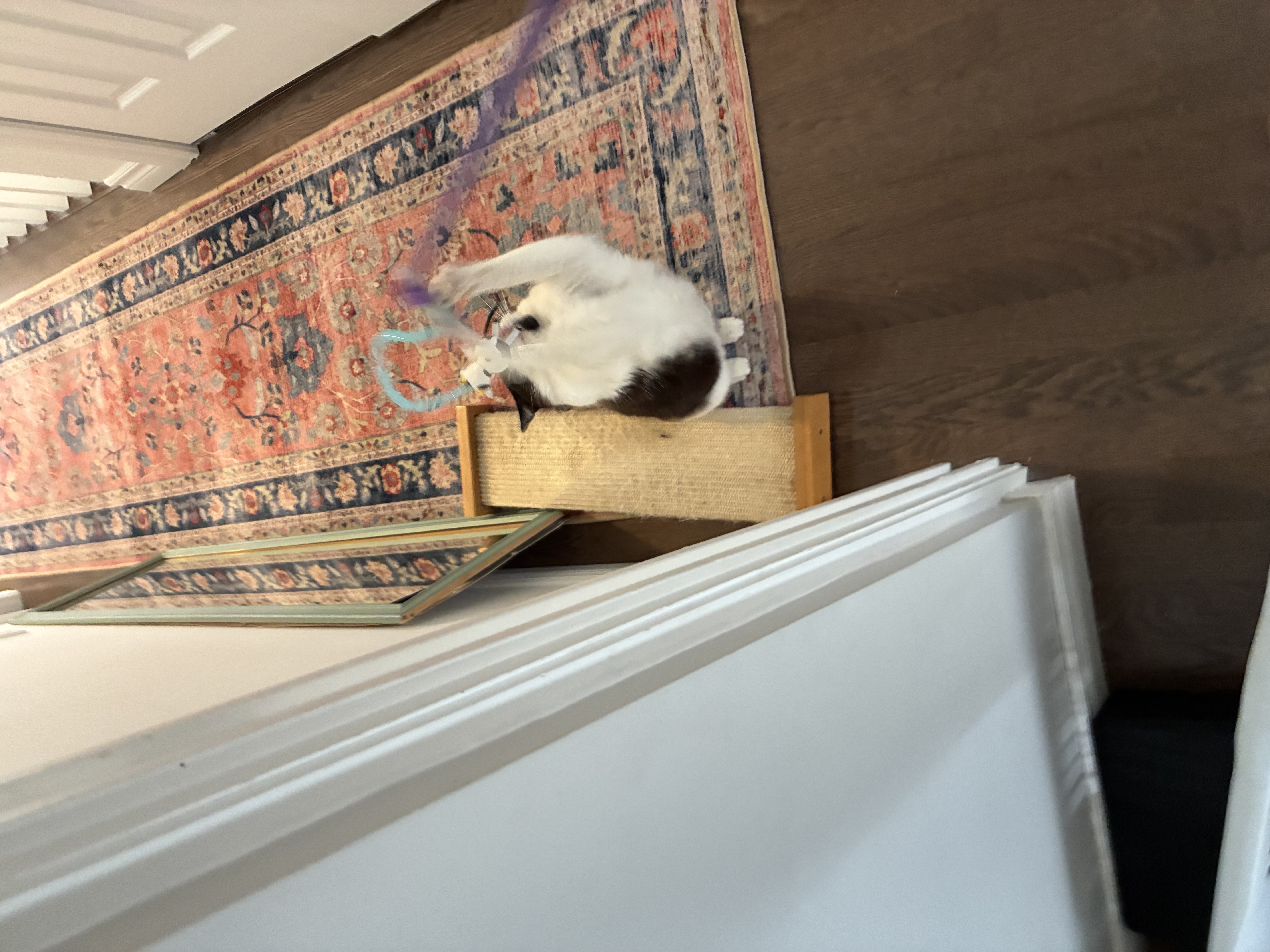 image-10