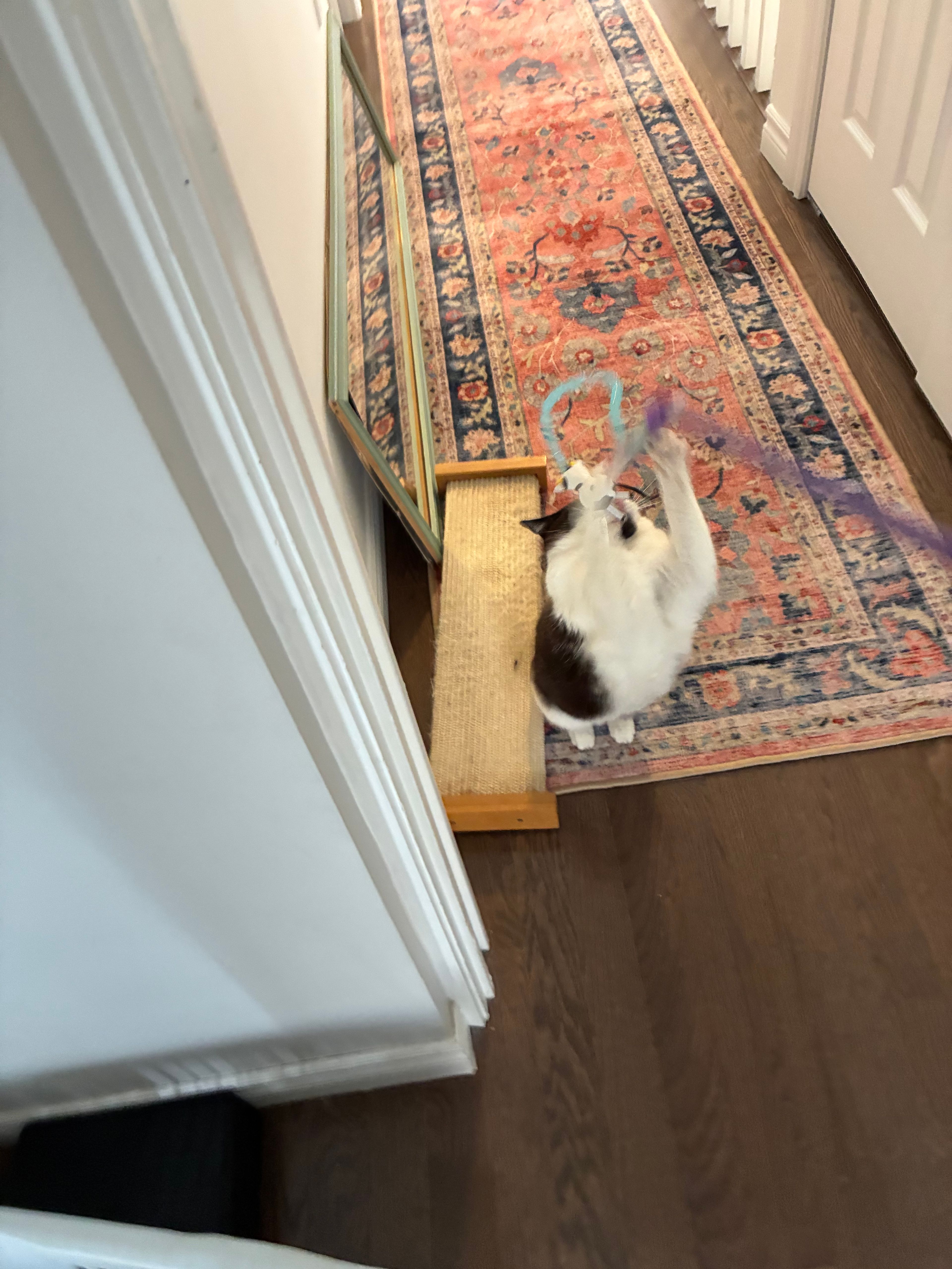 image-10