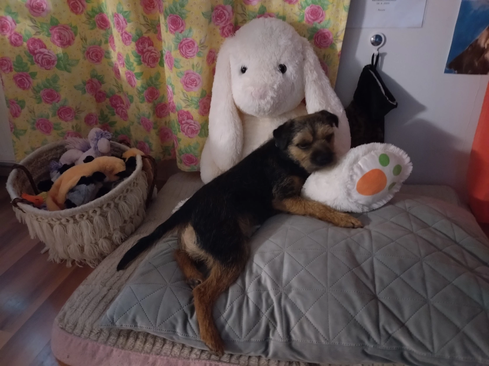image-9