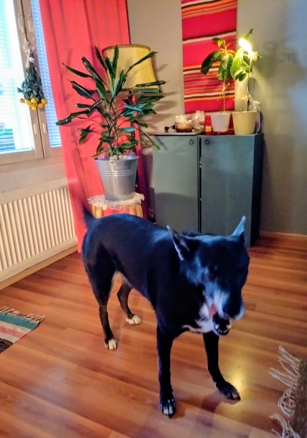 image-10