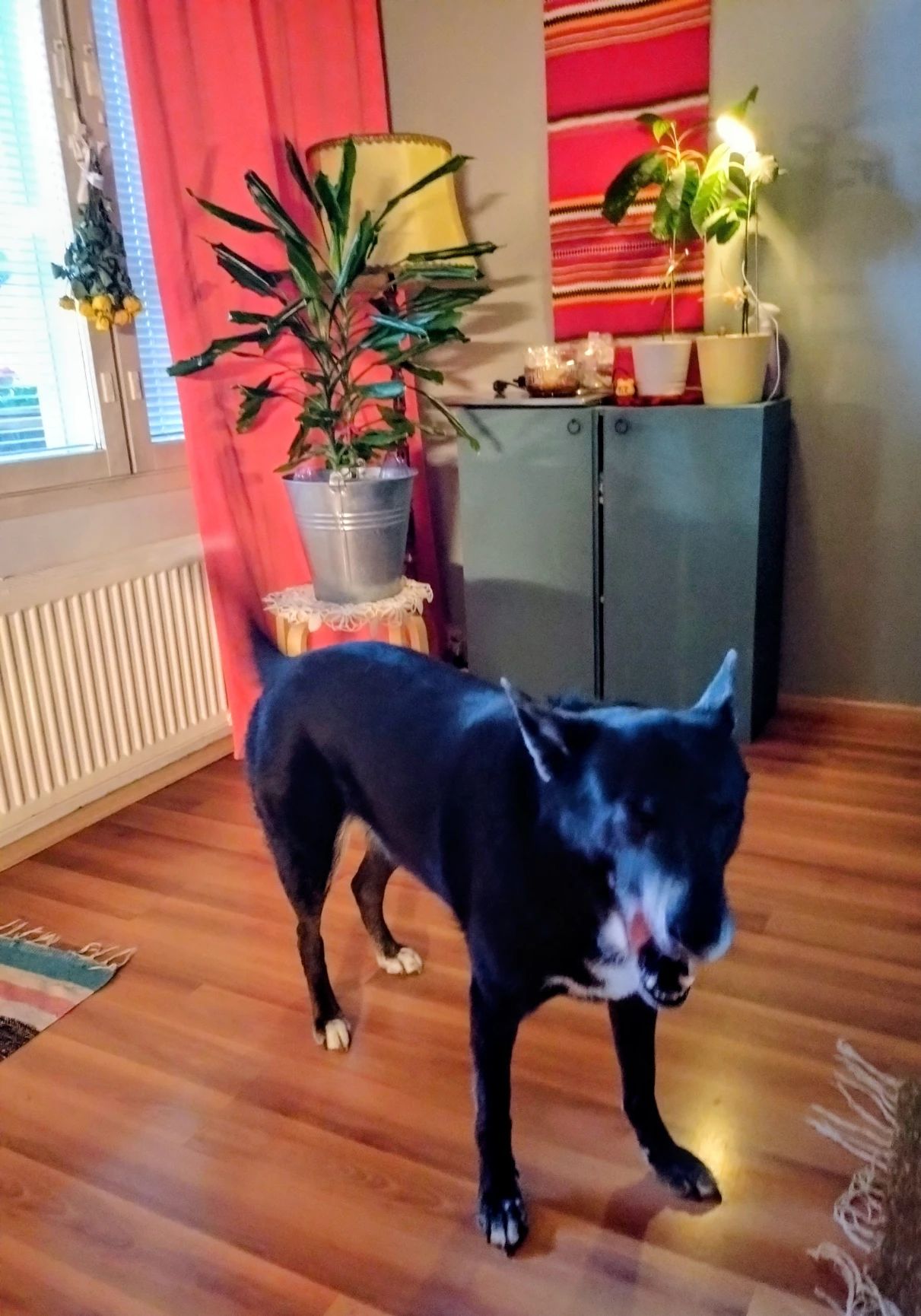 image-10