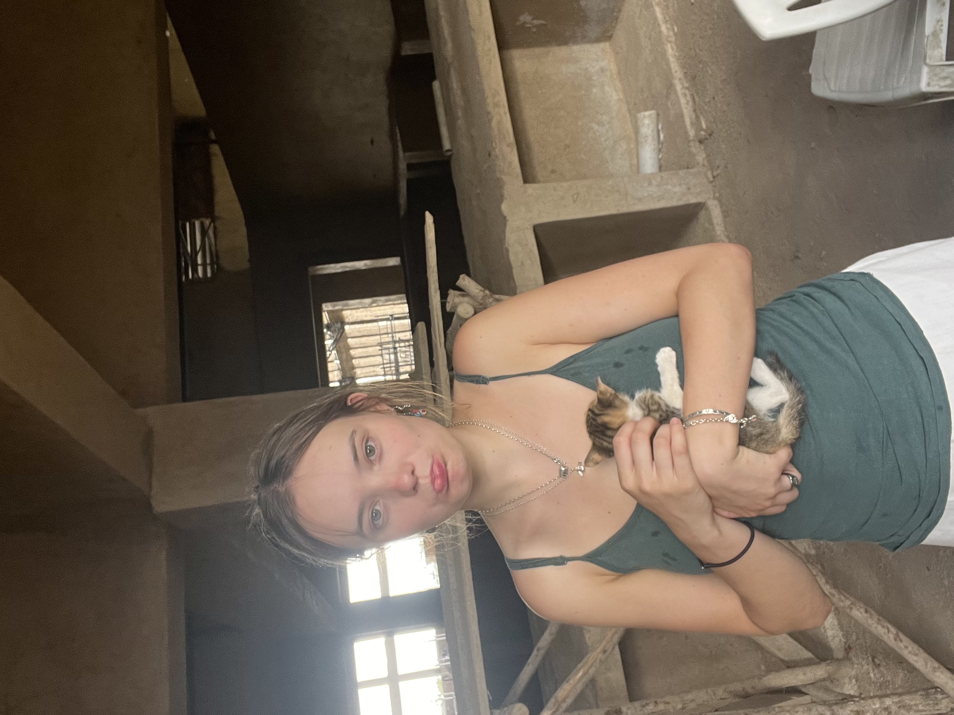 image-7