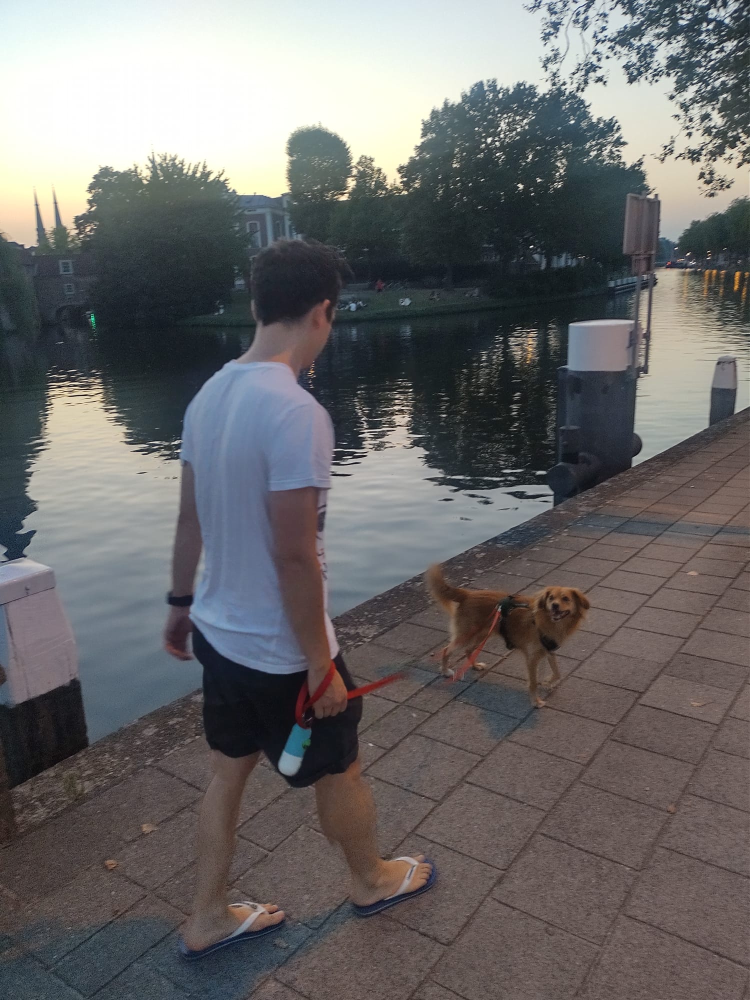 image-6