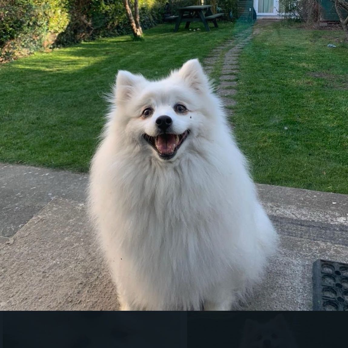 Mia