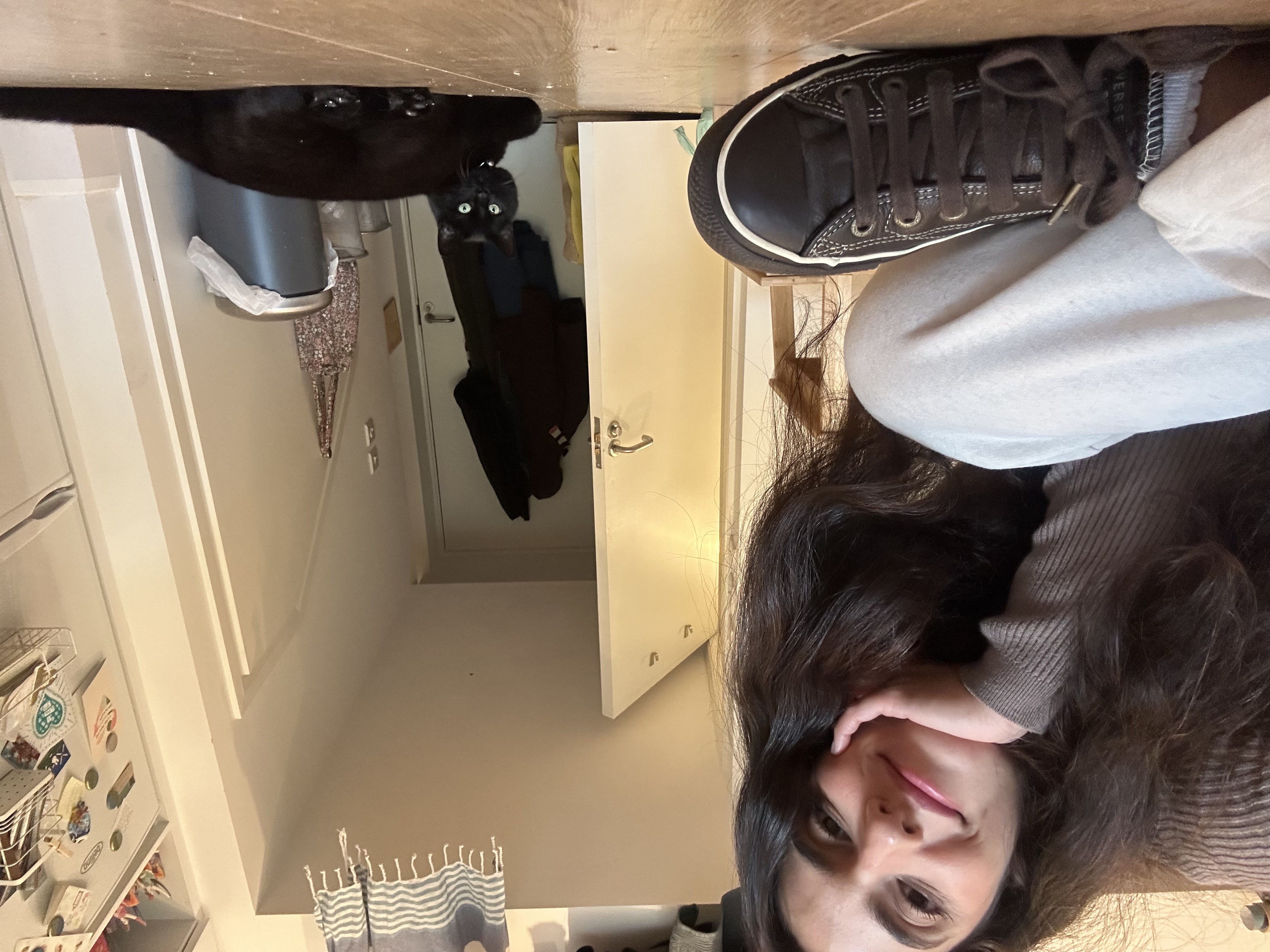 image-7