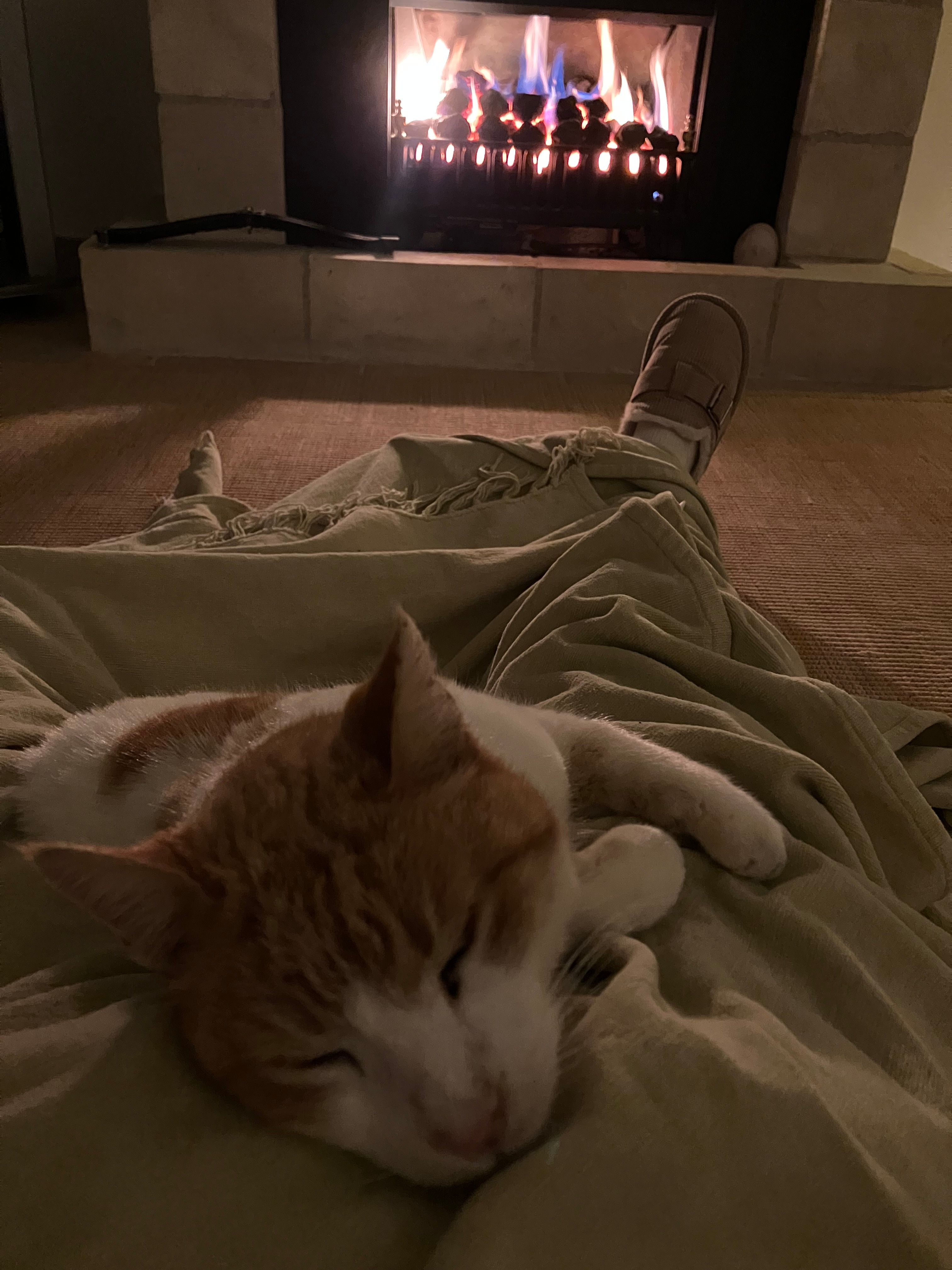 image-6