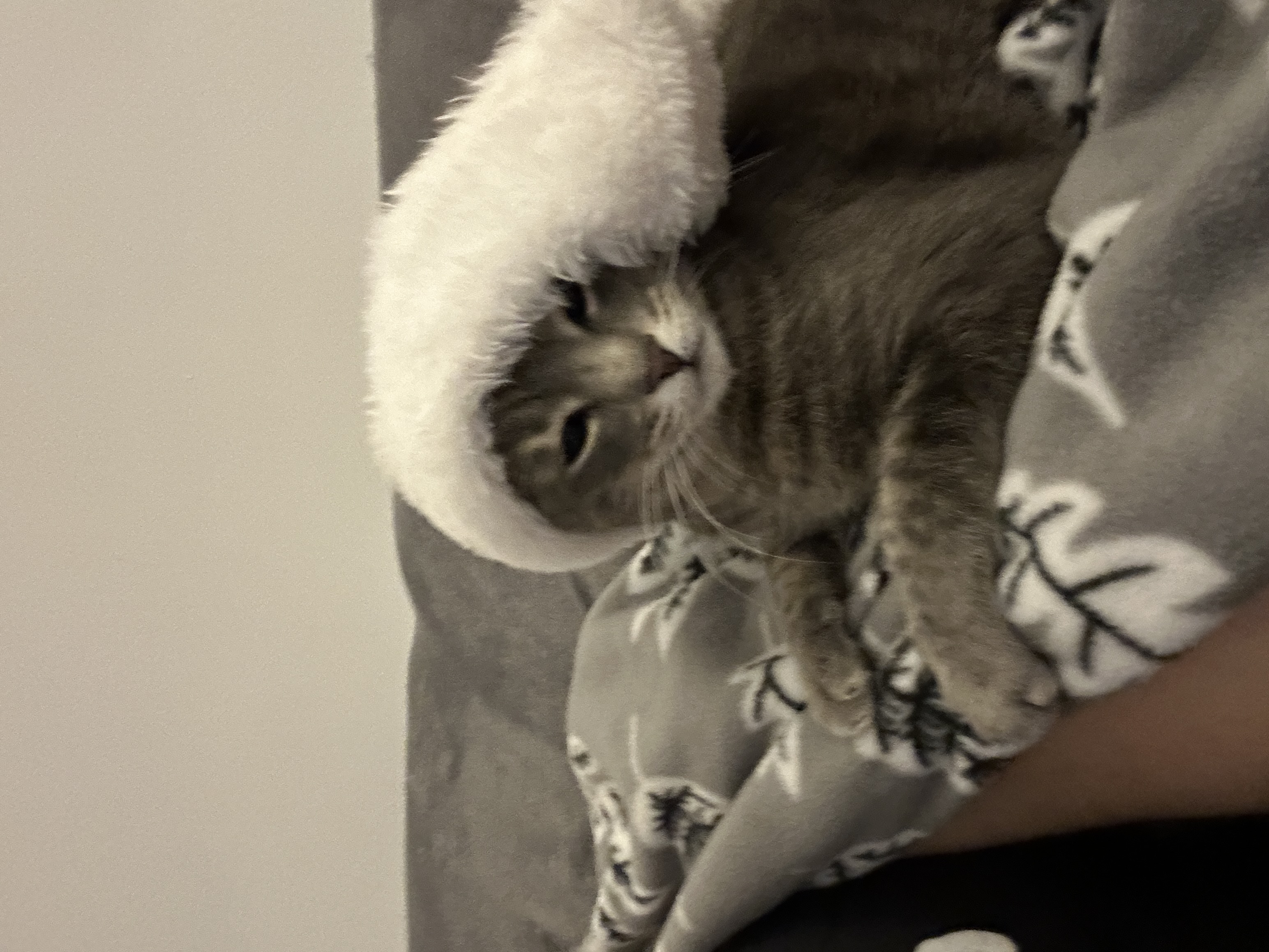 image-6