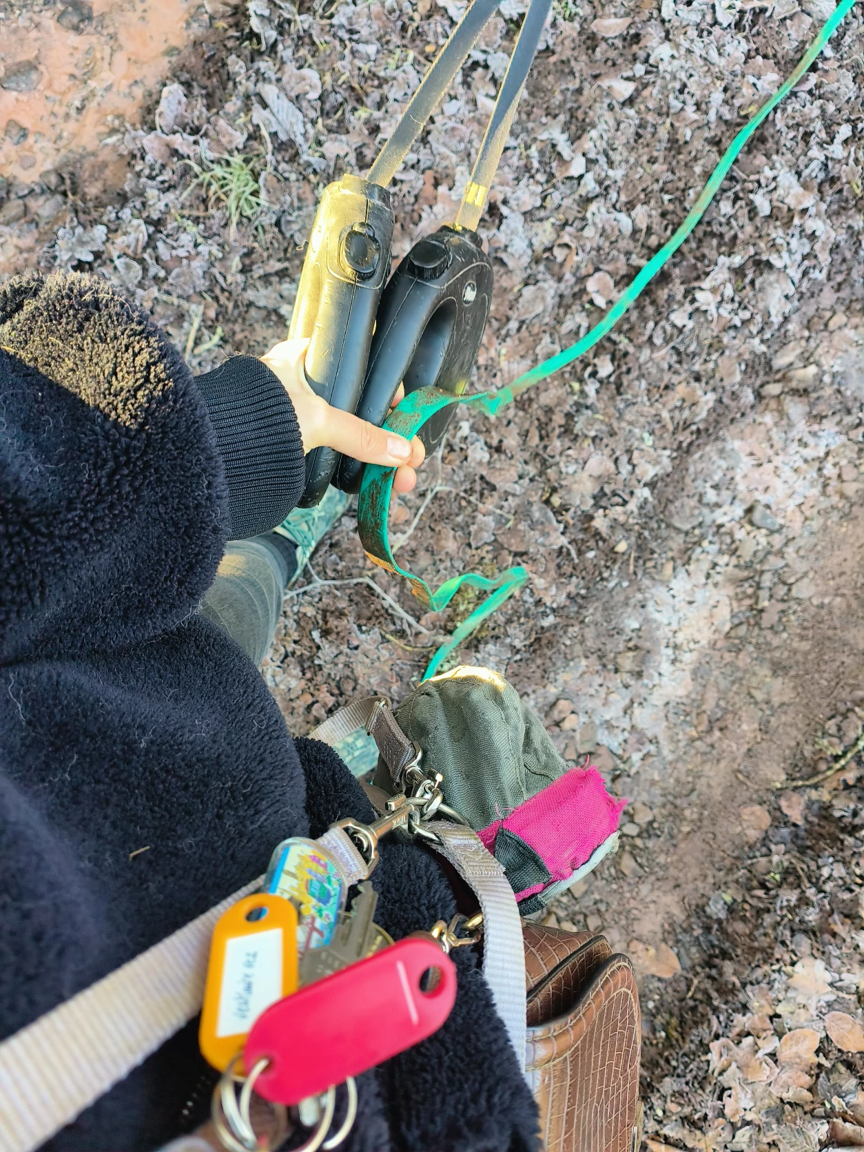 image-8