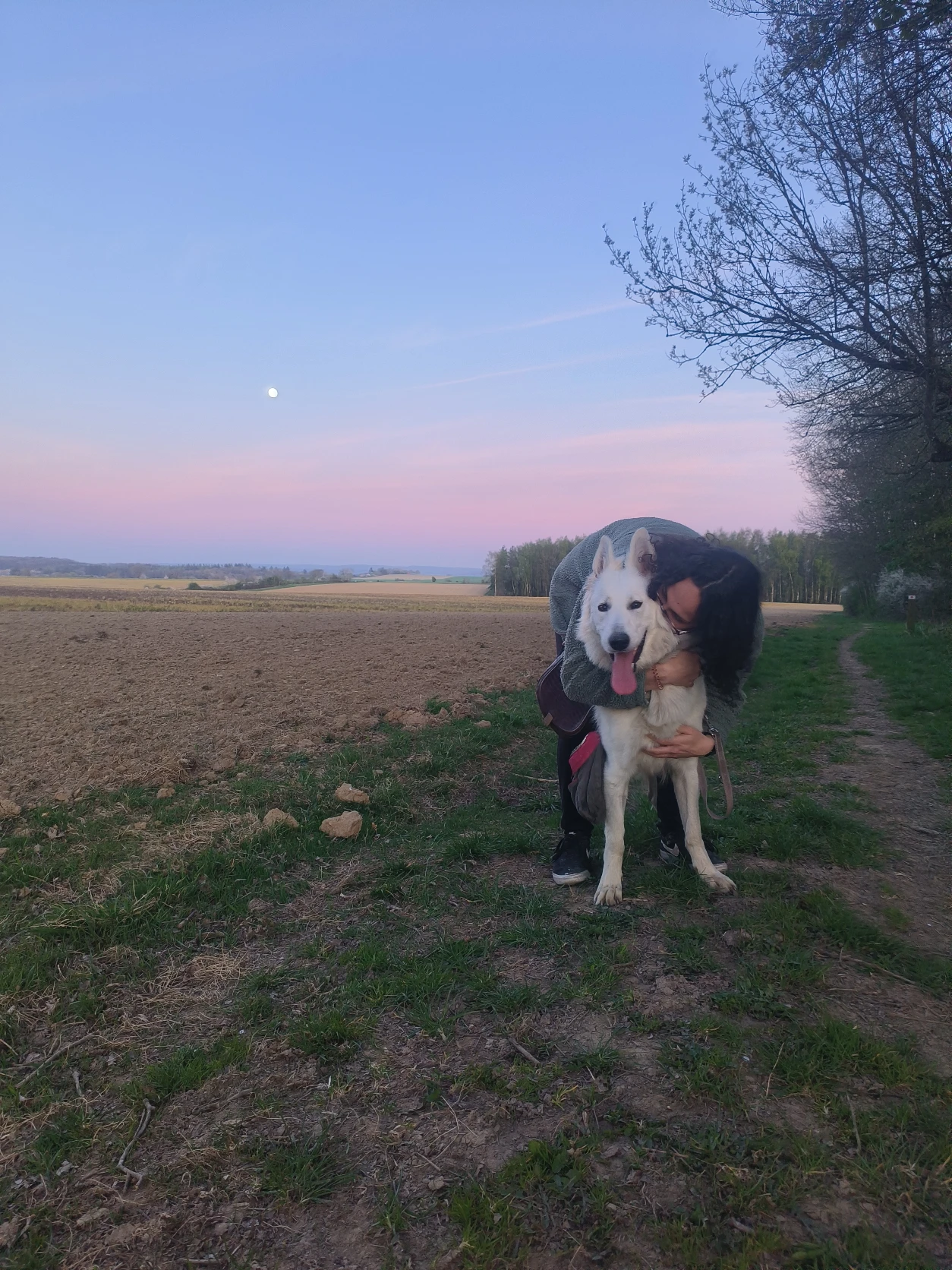 image-6