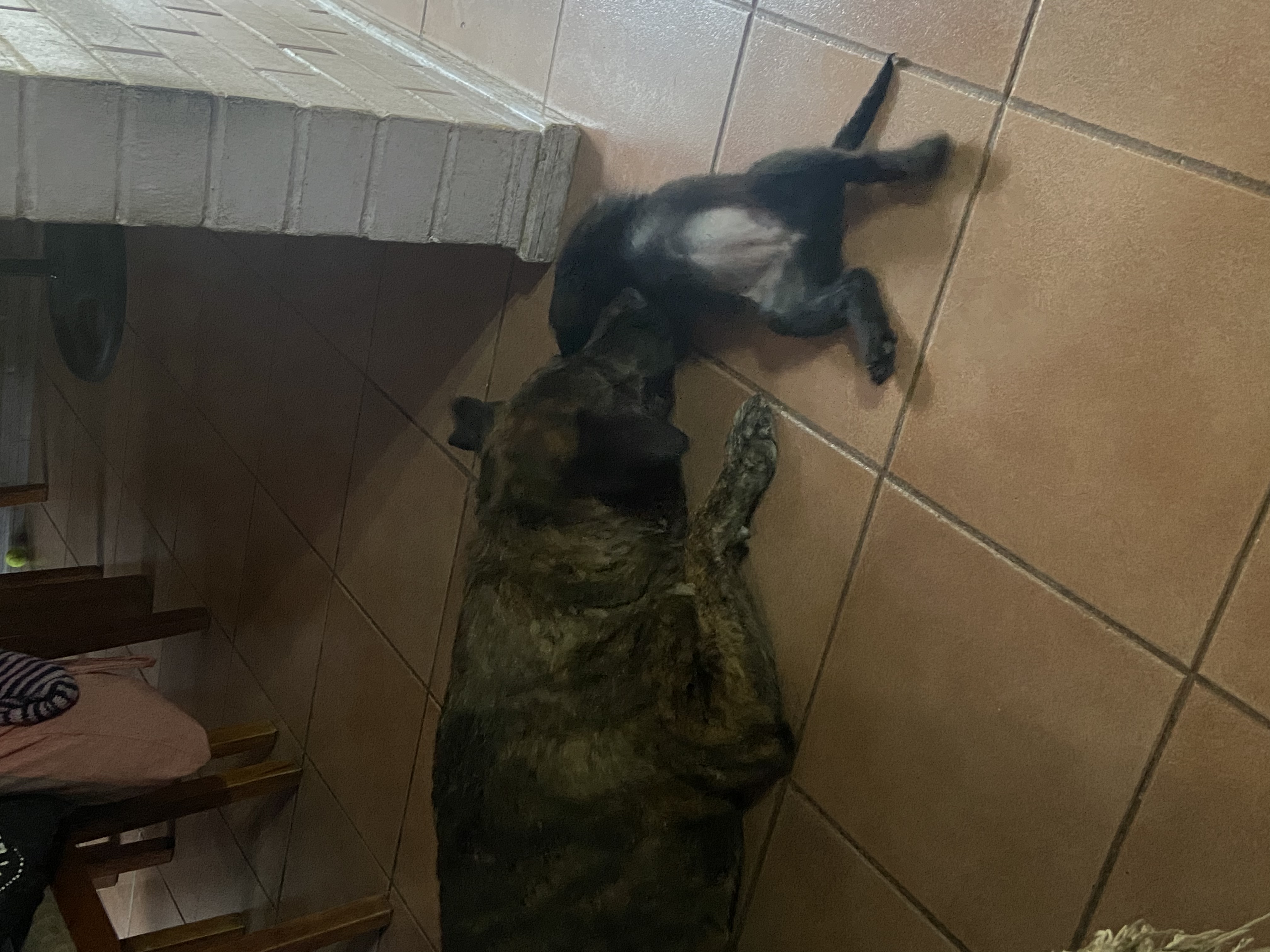 image-14