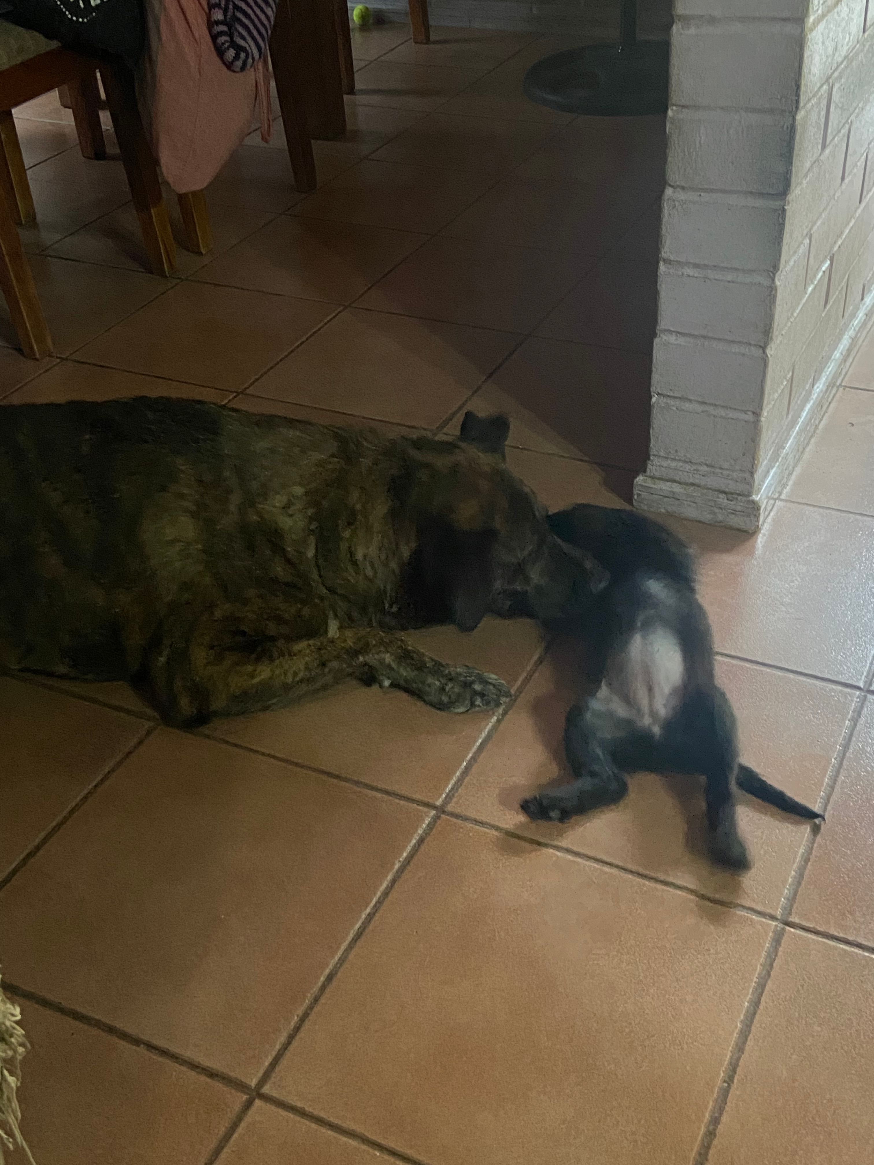 image-14