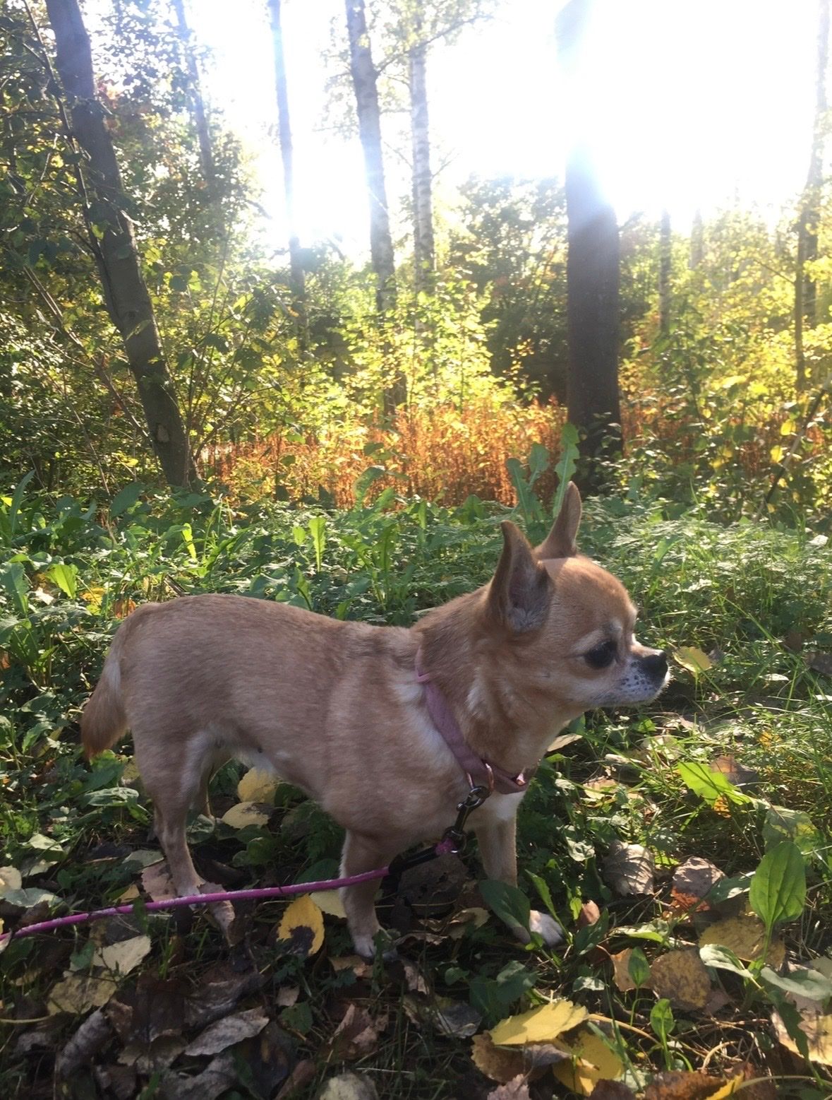 image-5