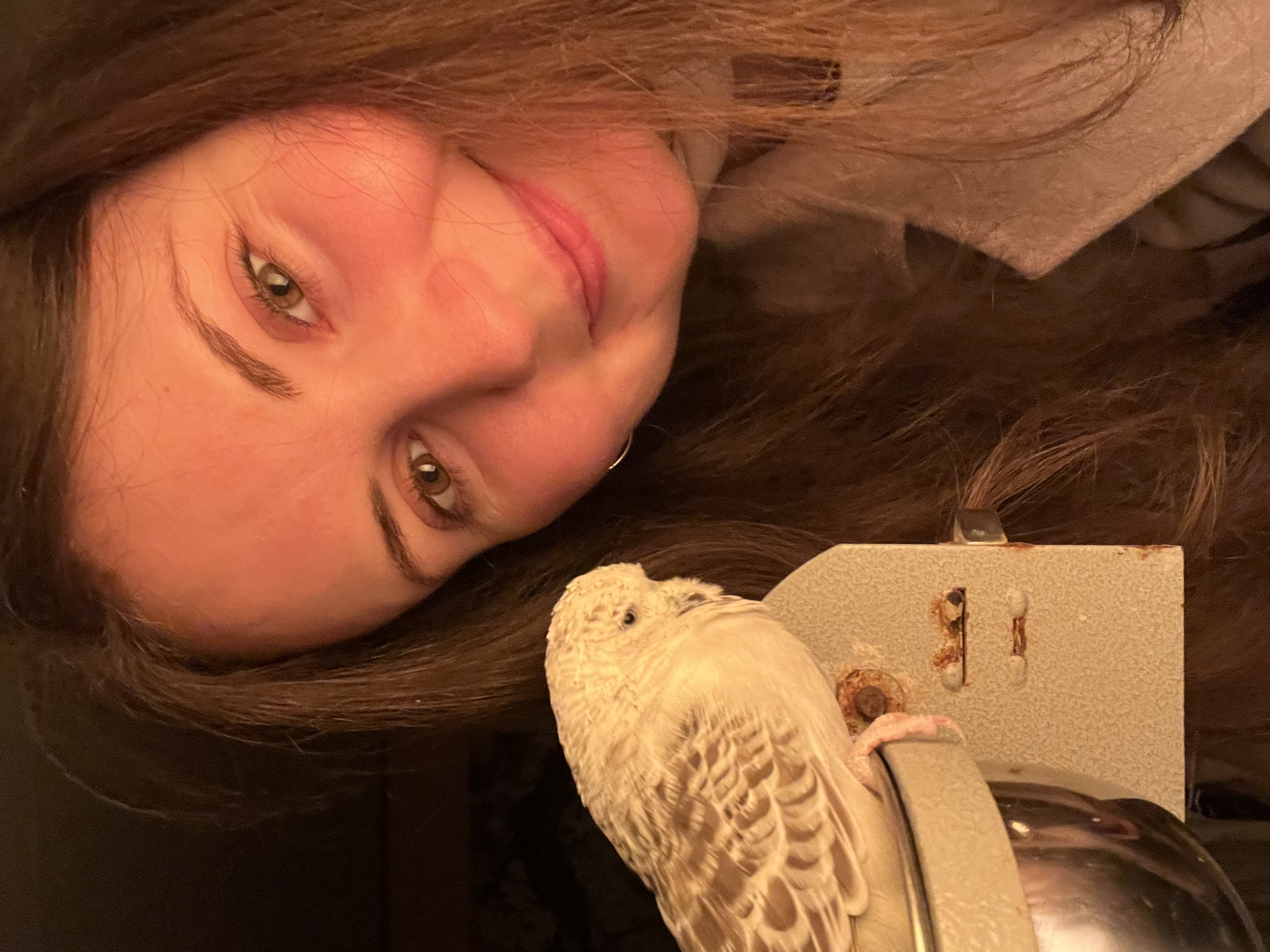 image-8
