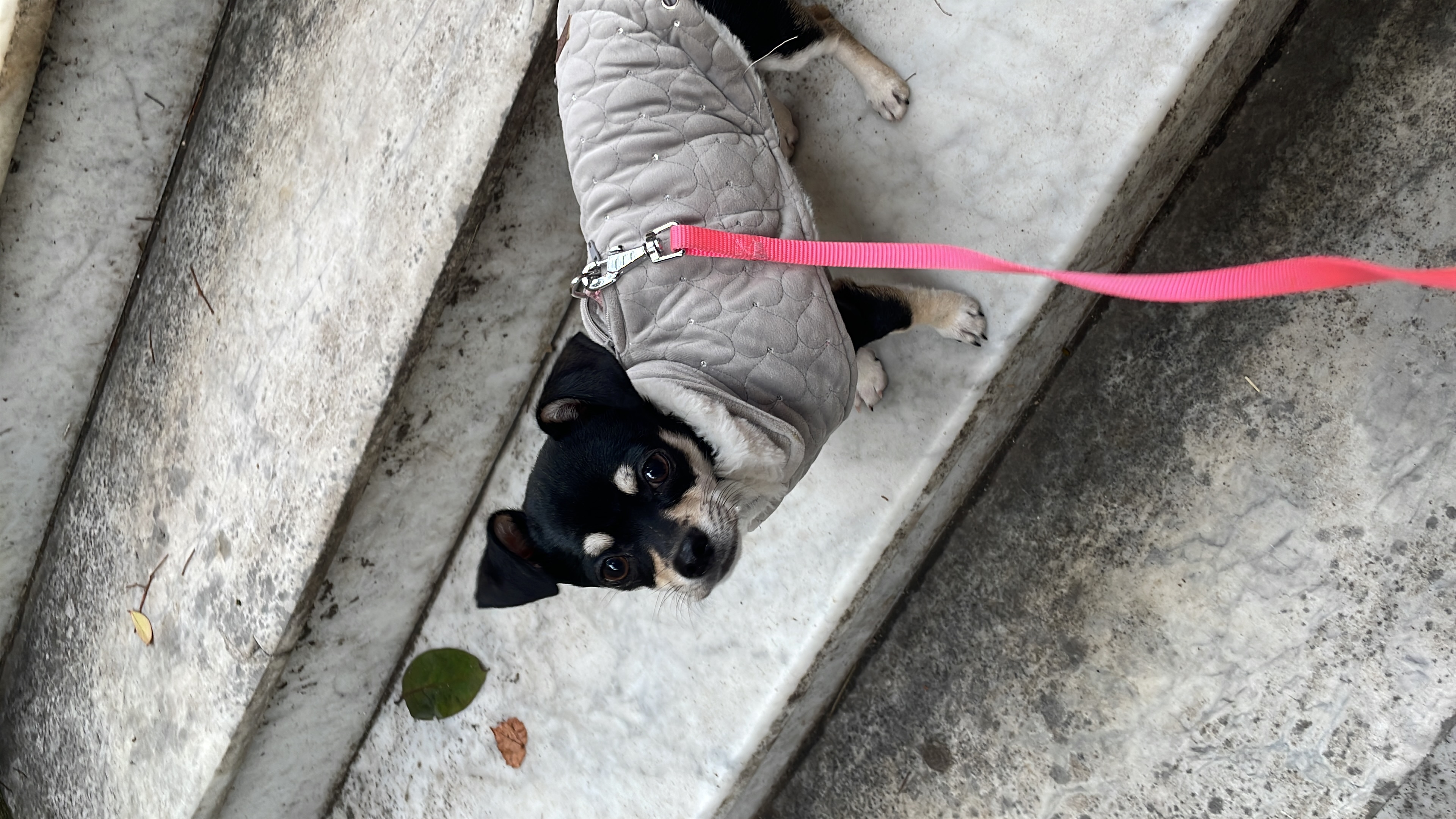 image-6