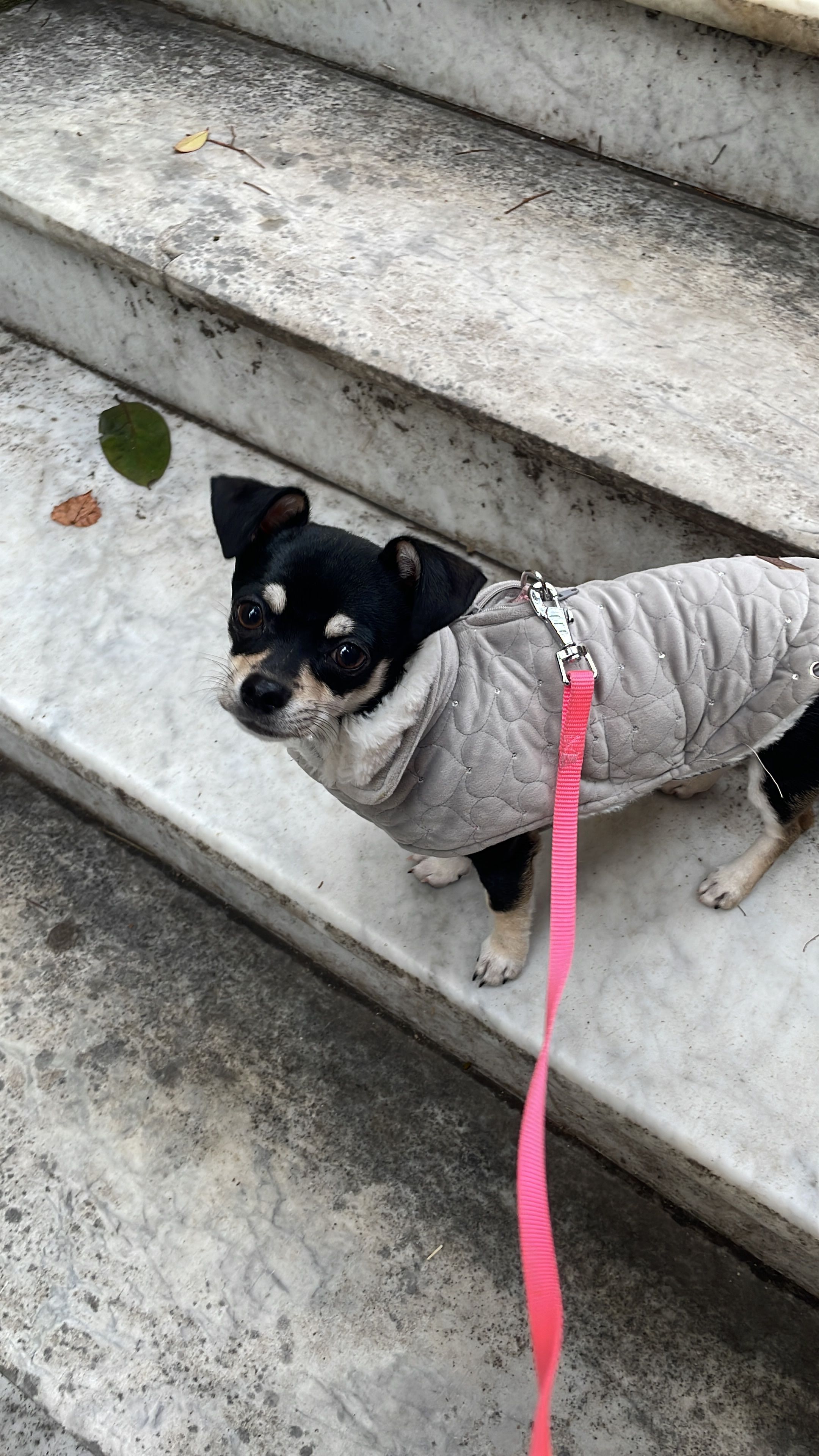image-6