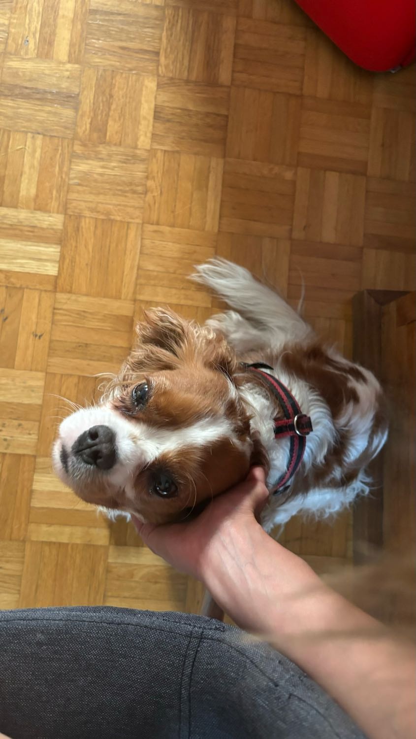 image-6