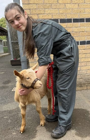 image-7
