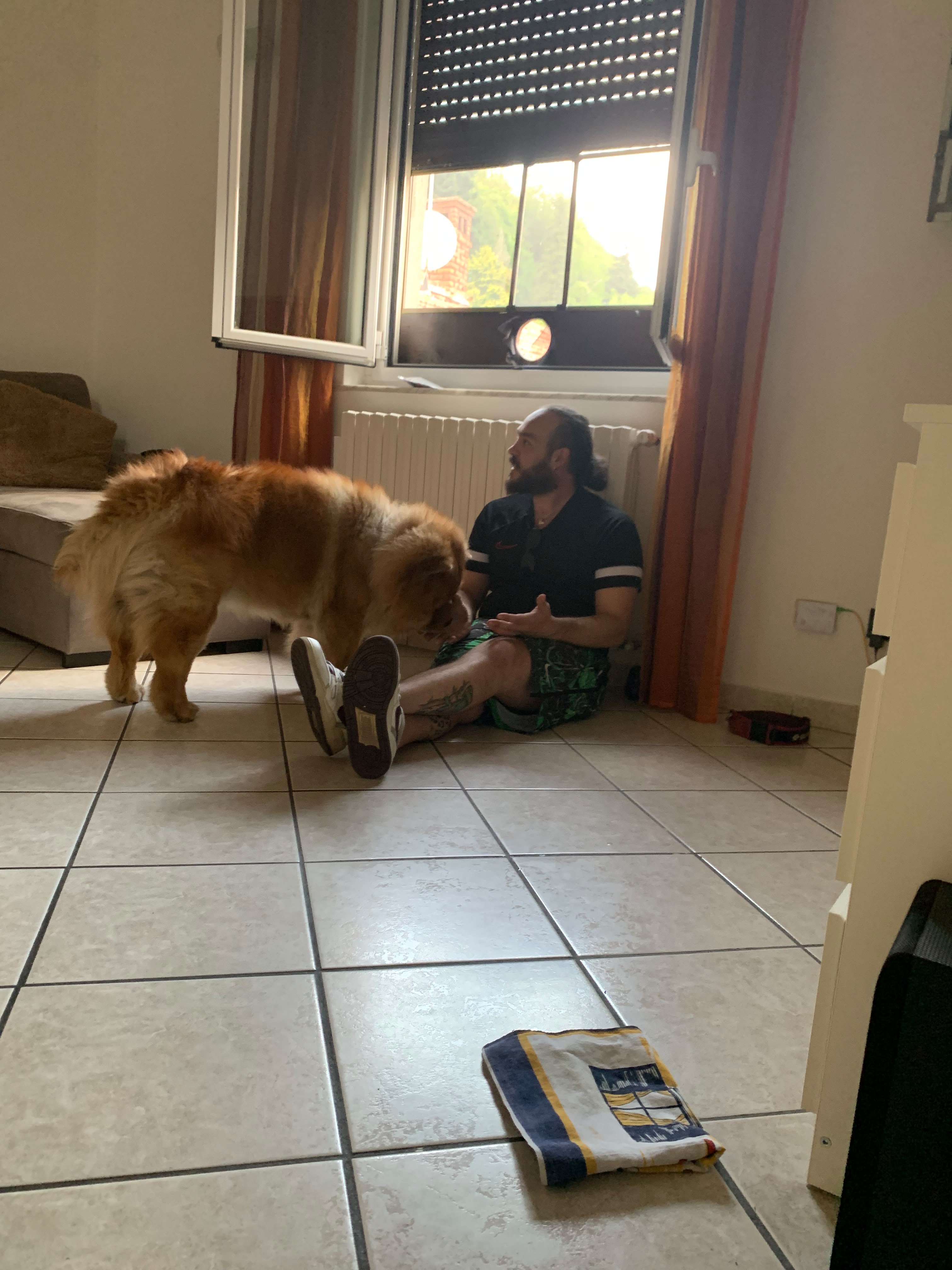 image-9