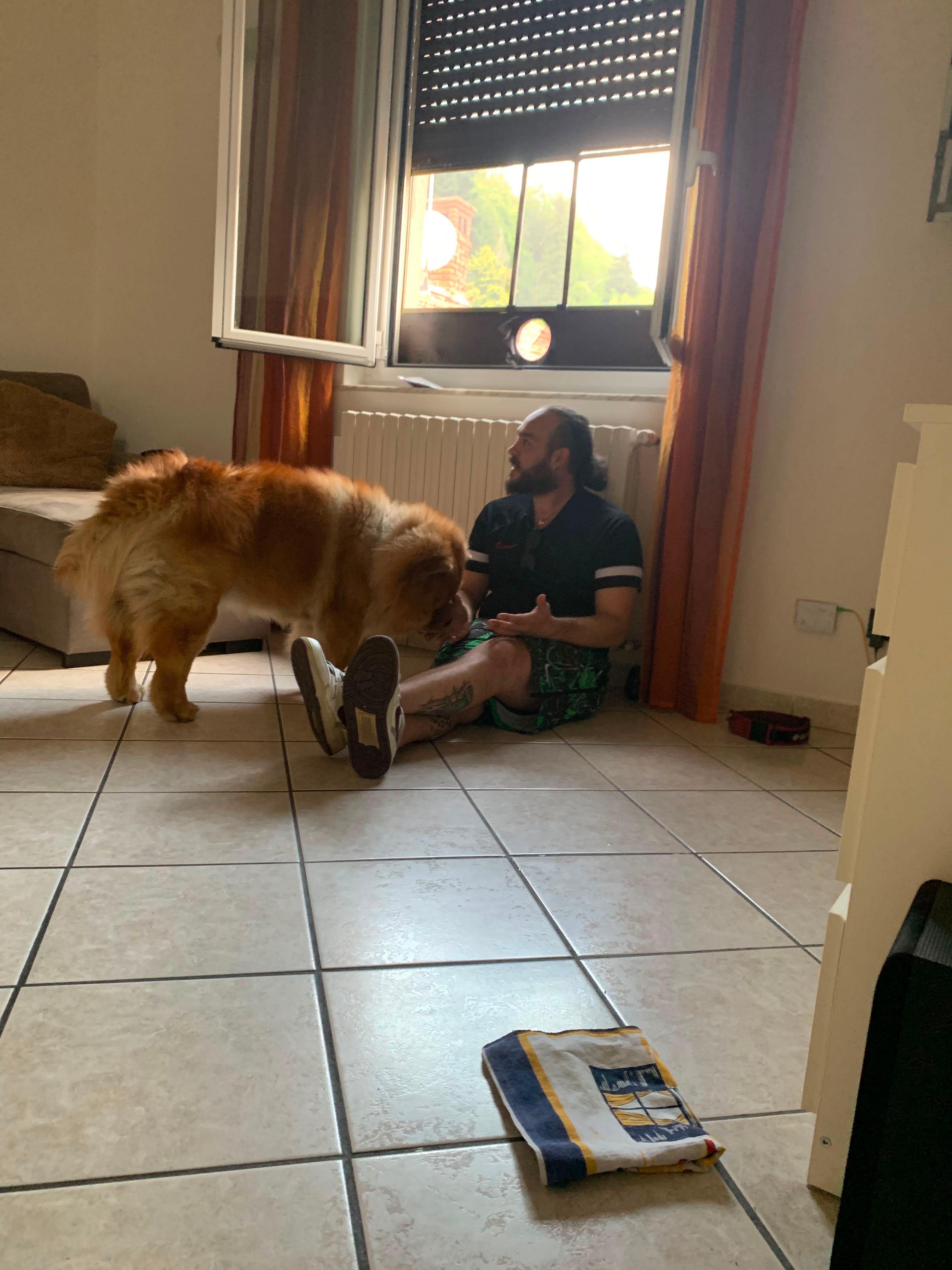 image-9