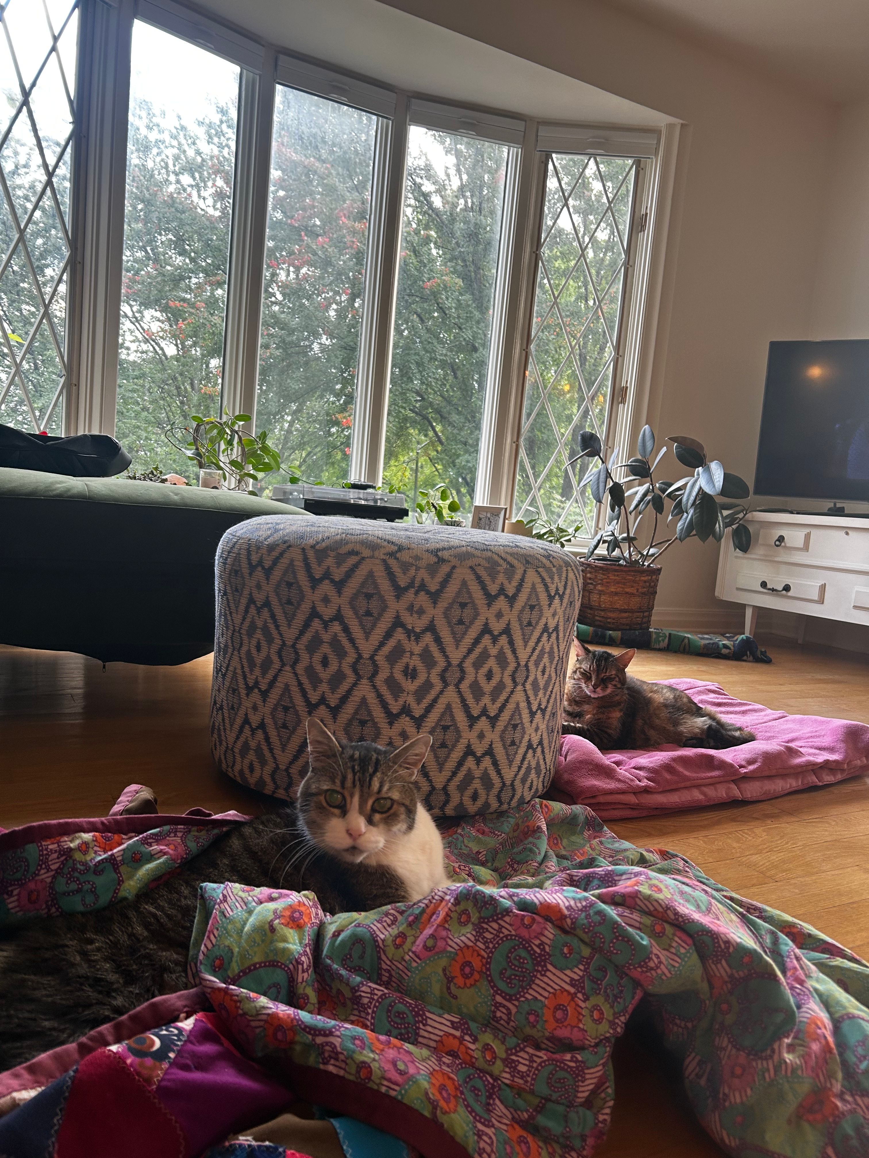 image-6
