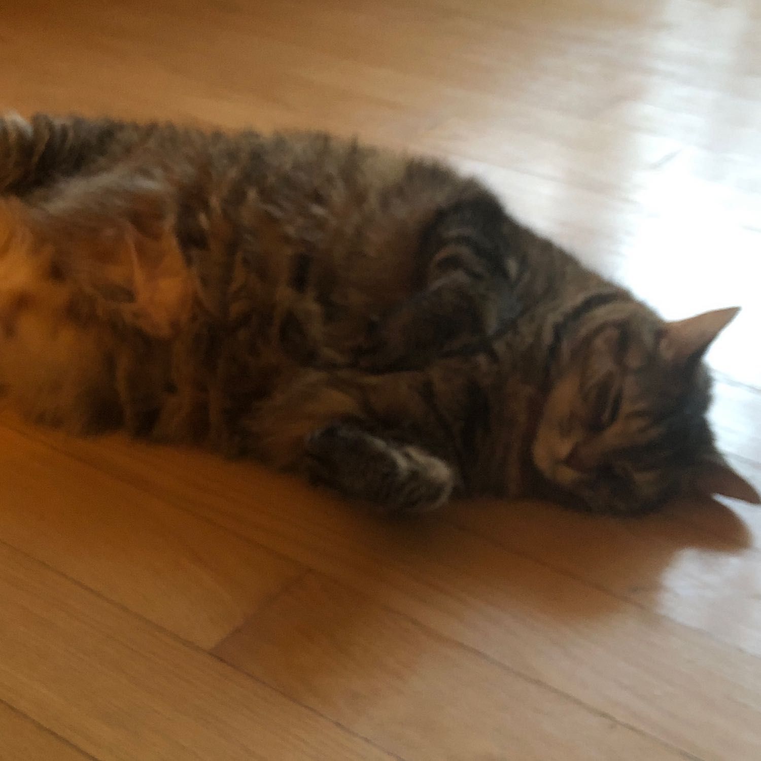 Lili