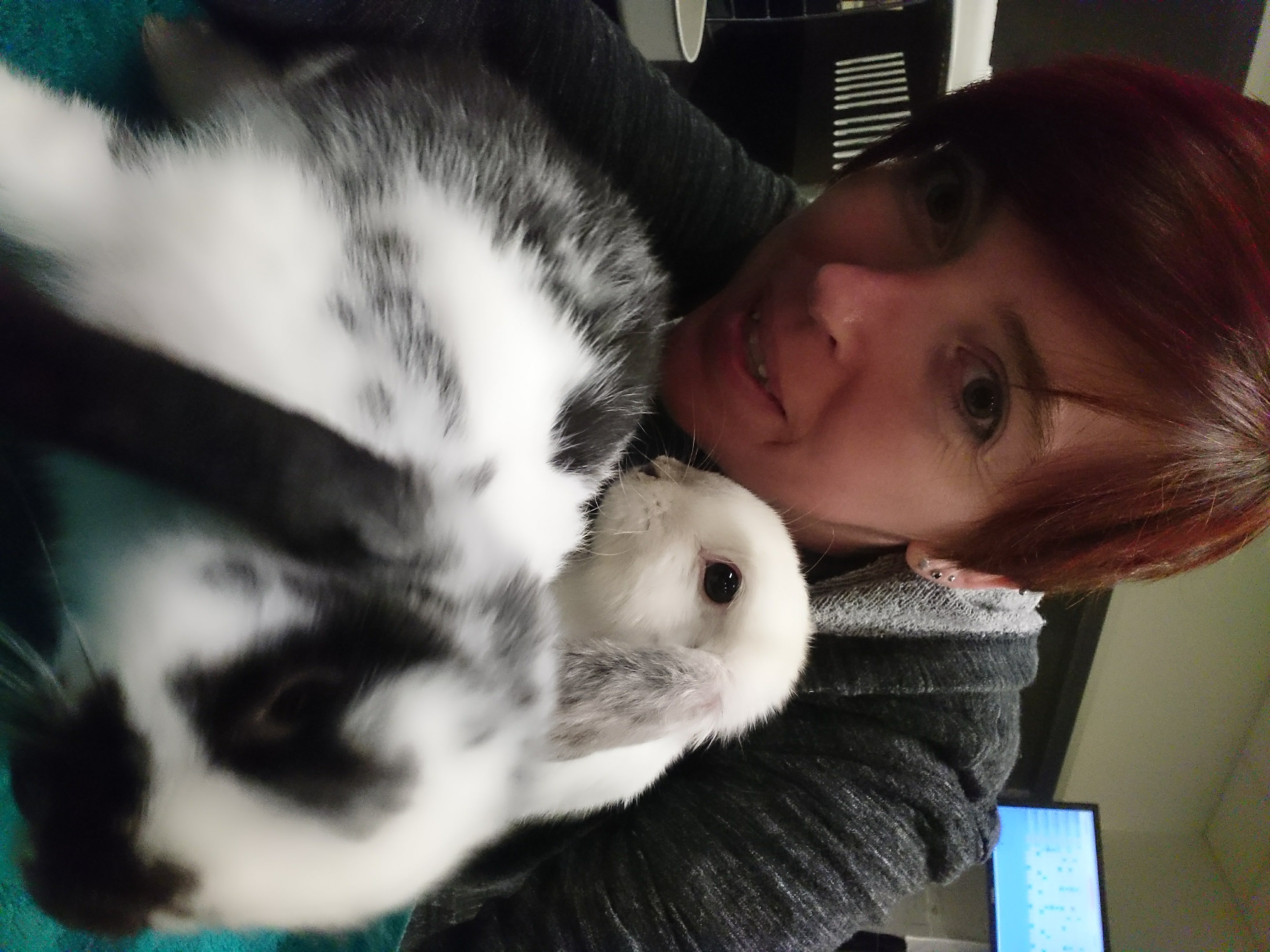 image-8