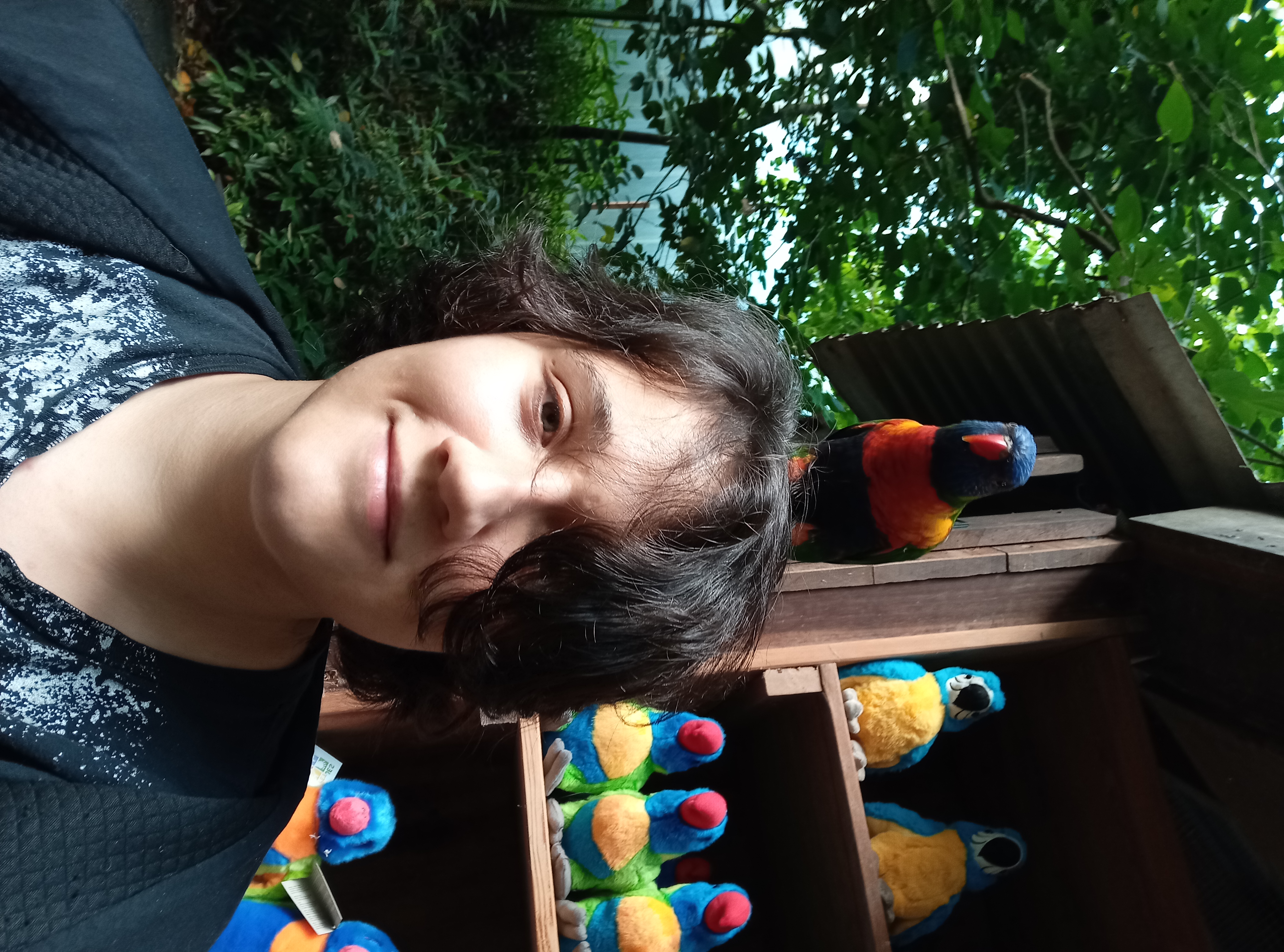 image-8
