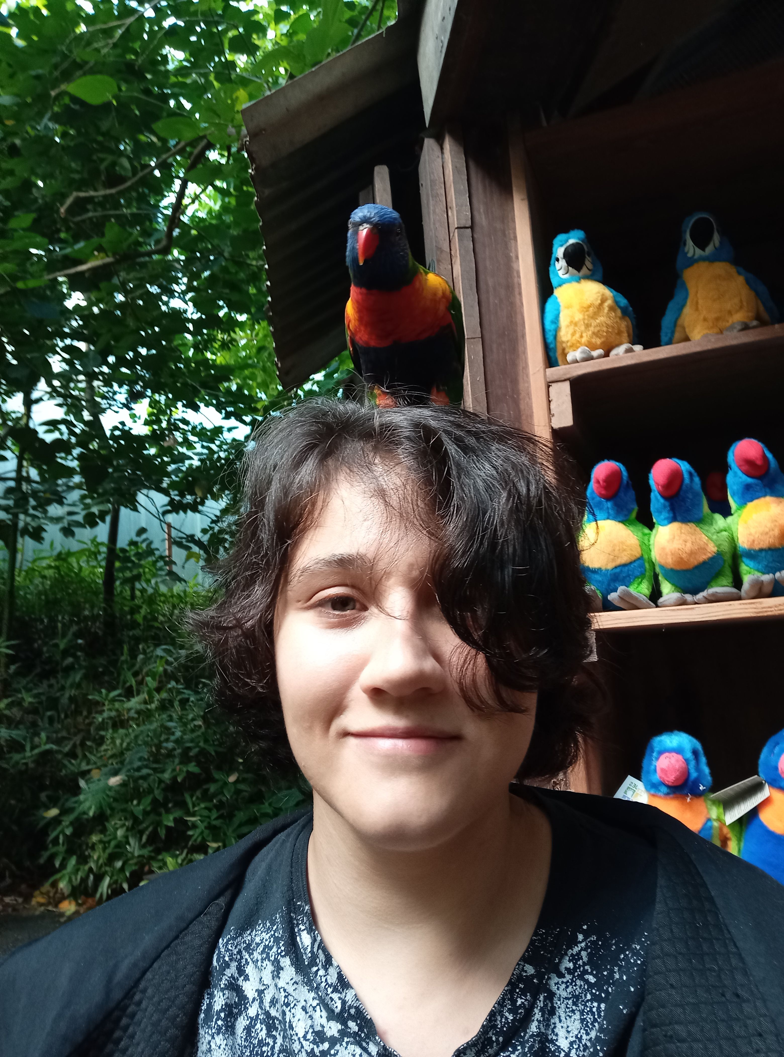 image-8