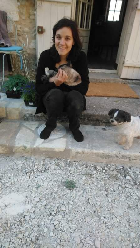 image-7