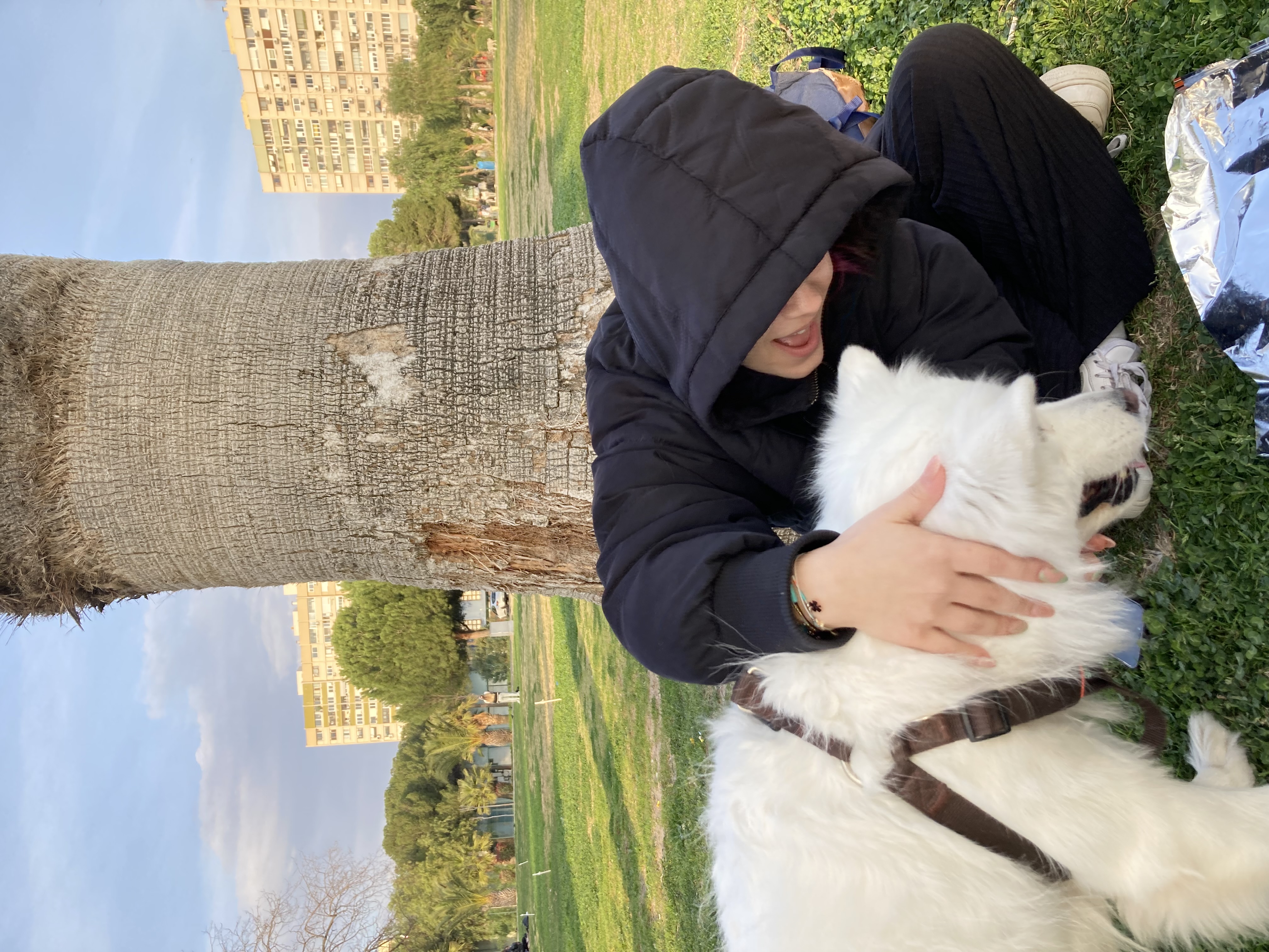 image-11