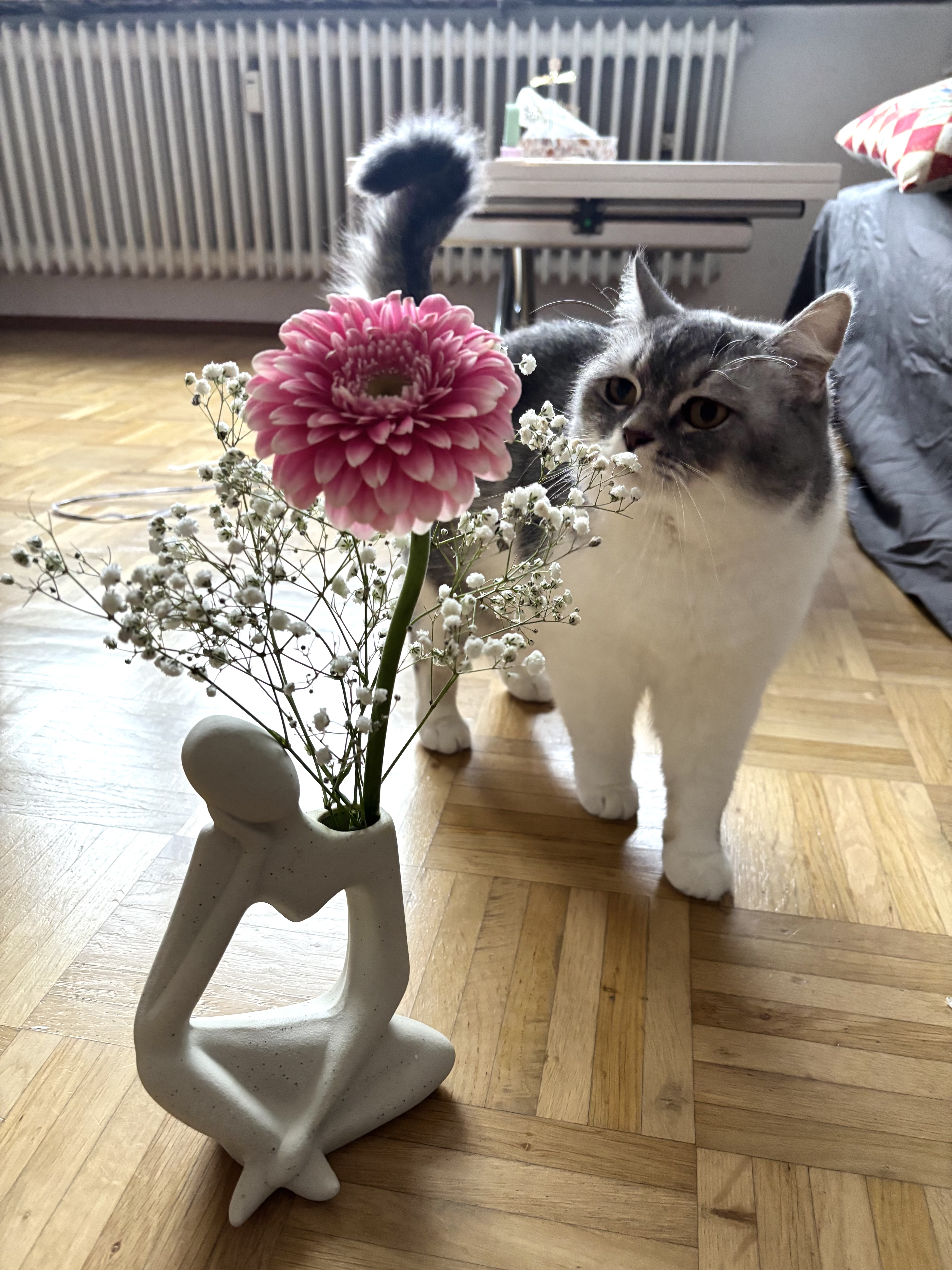 image-18