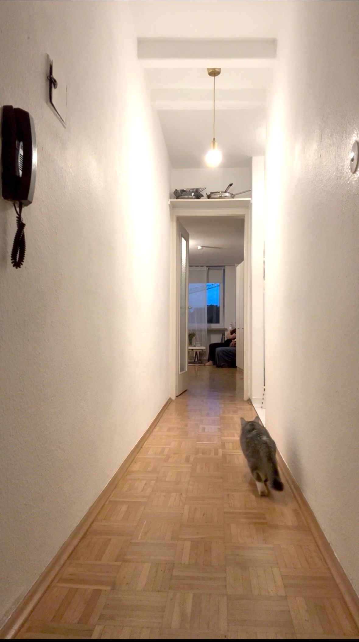image-17