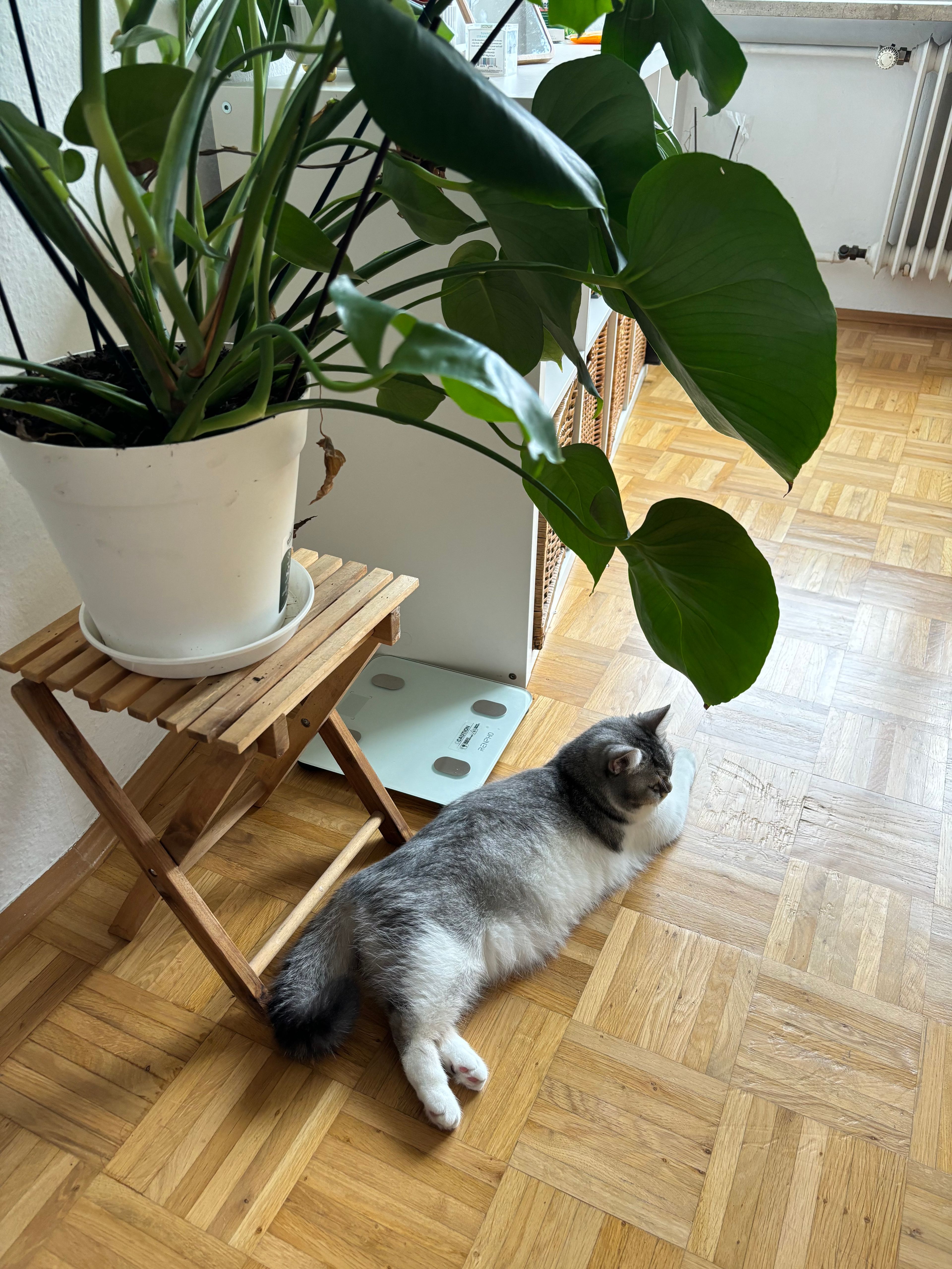 image-22