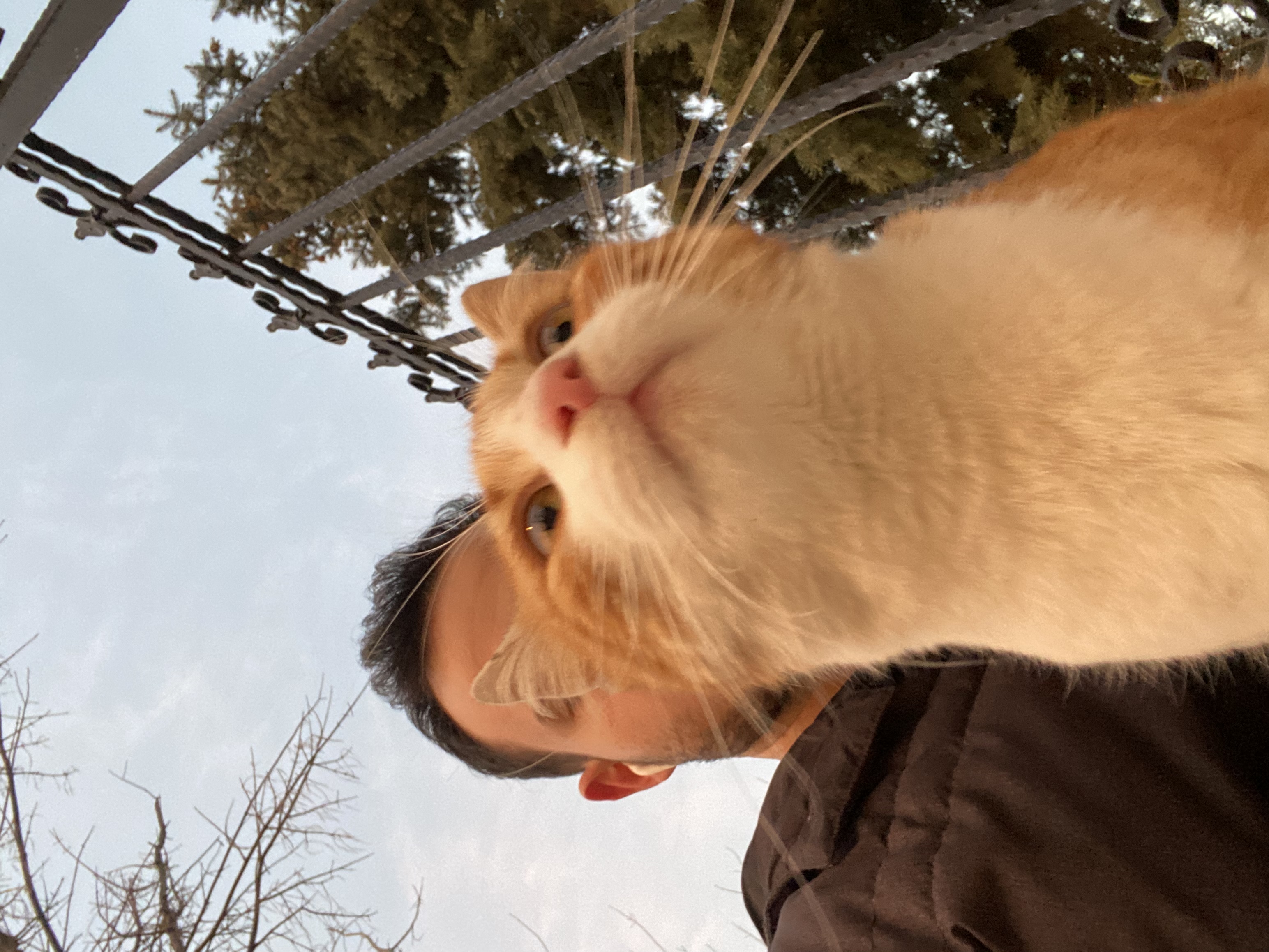 image-7