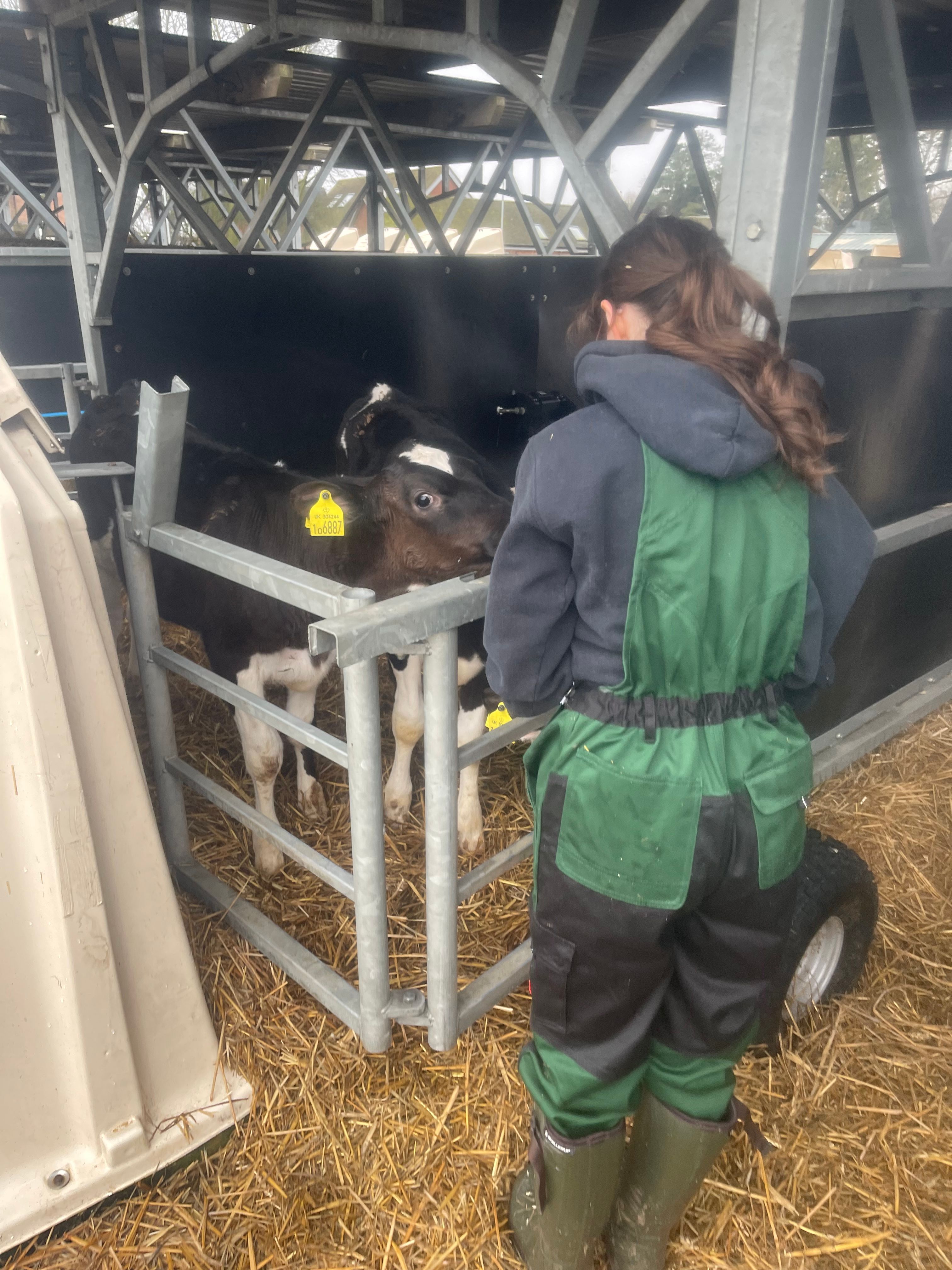 image-0