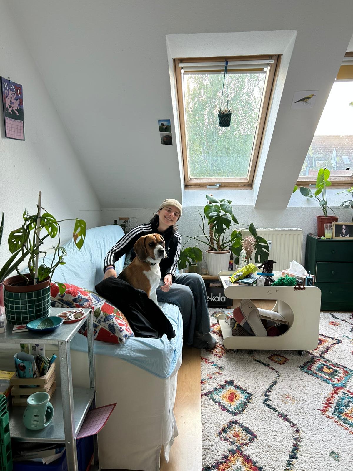 image-19