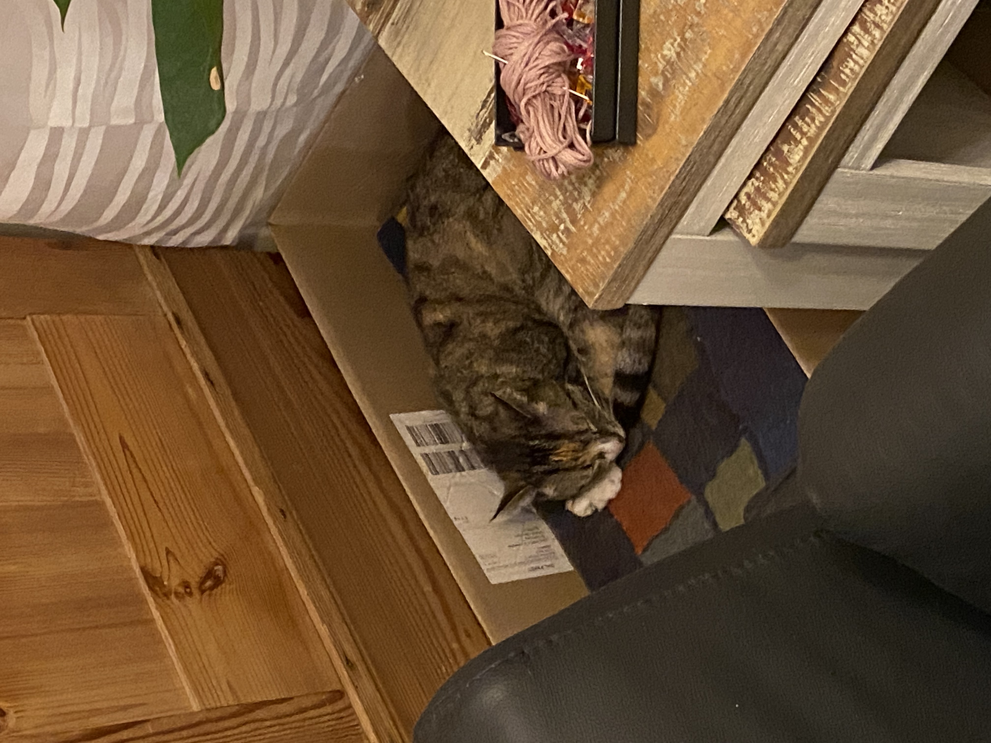 image-12