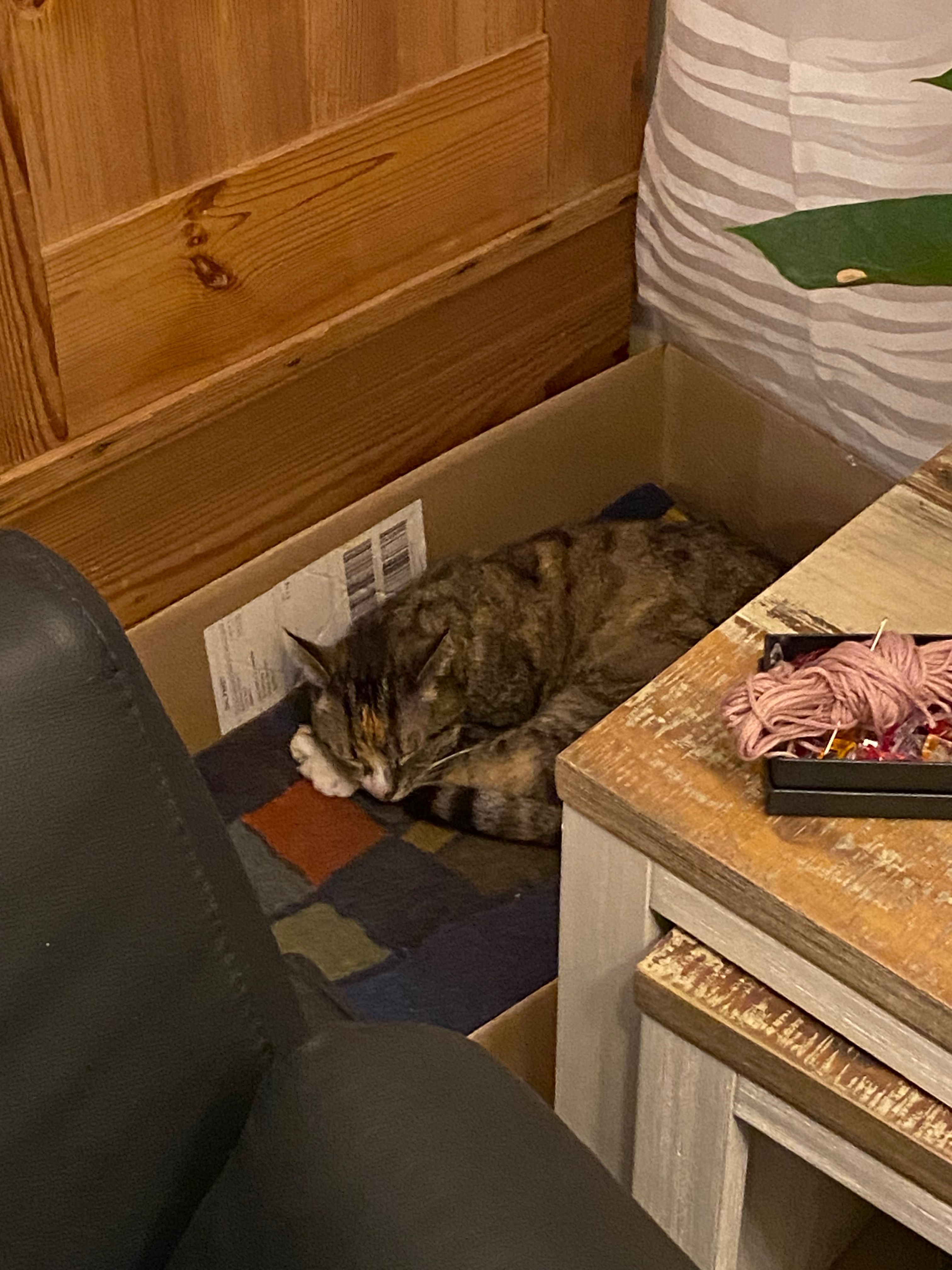 image-12