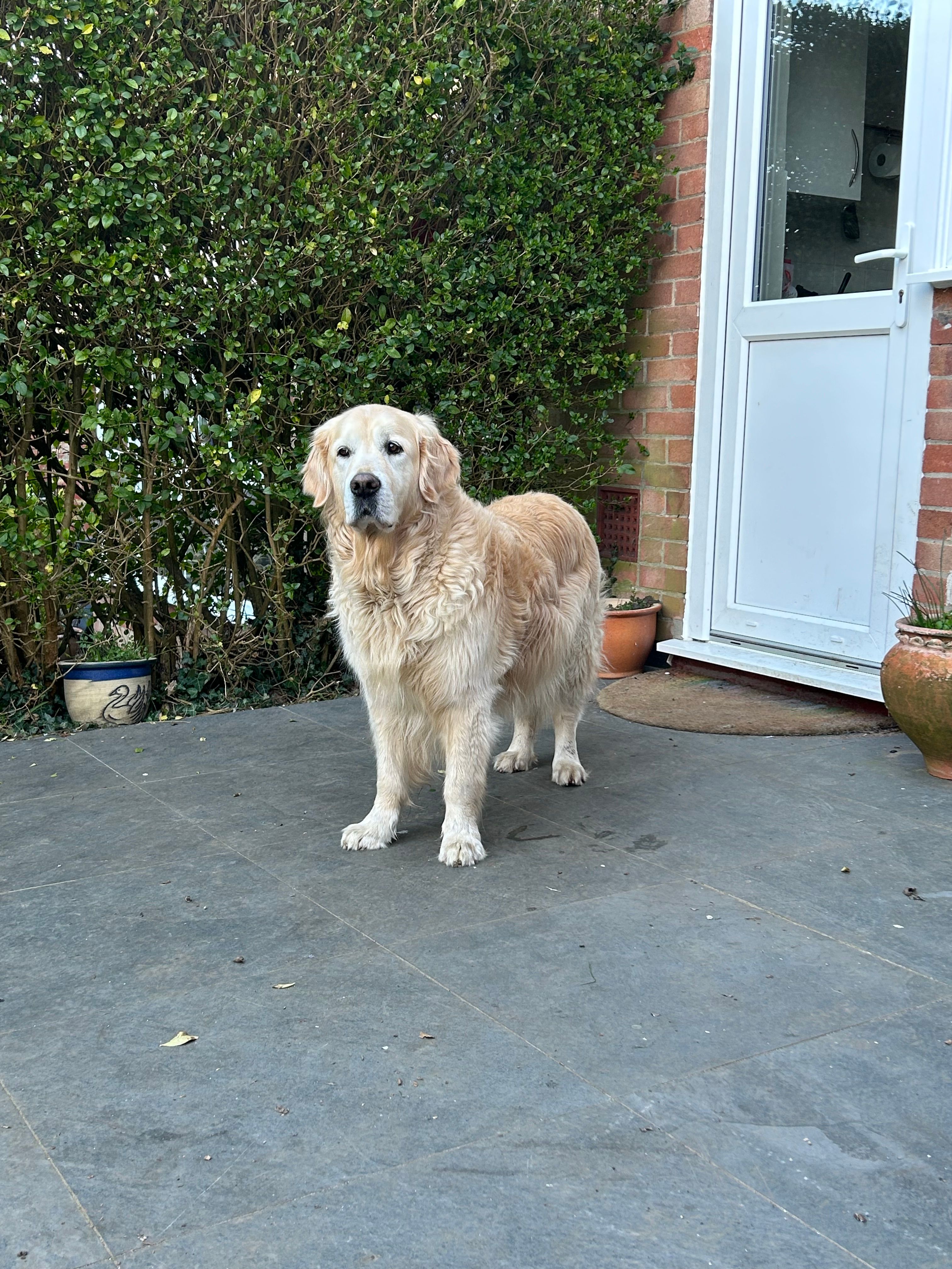 image-19