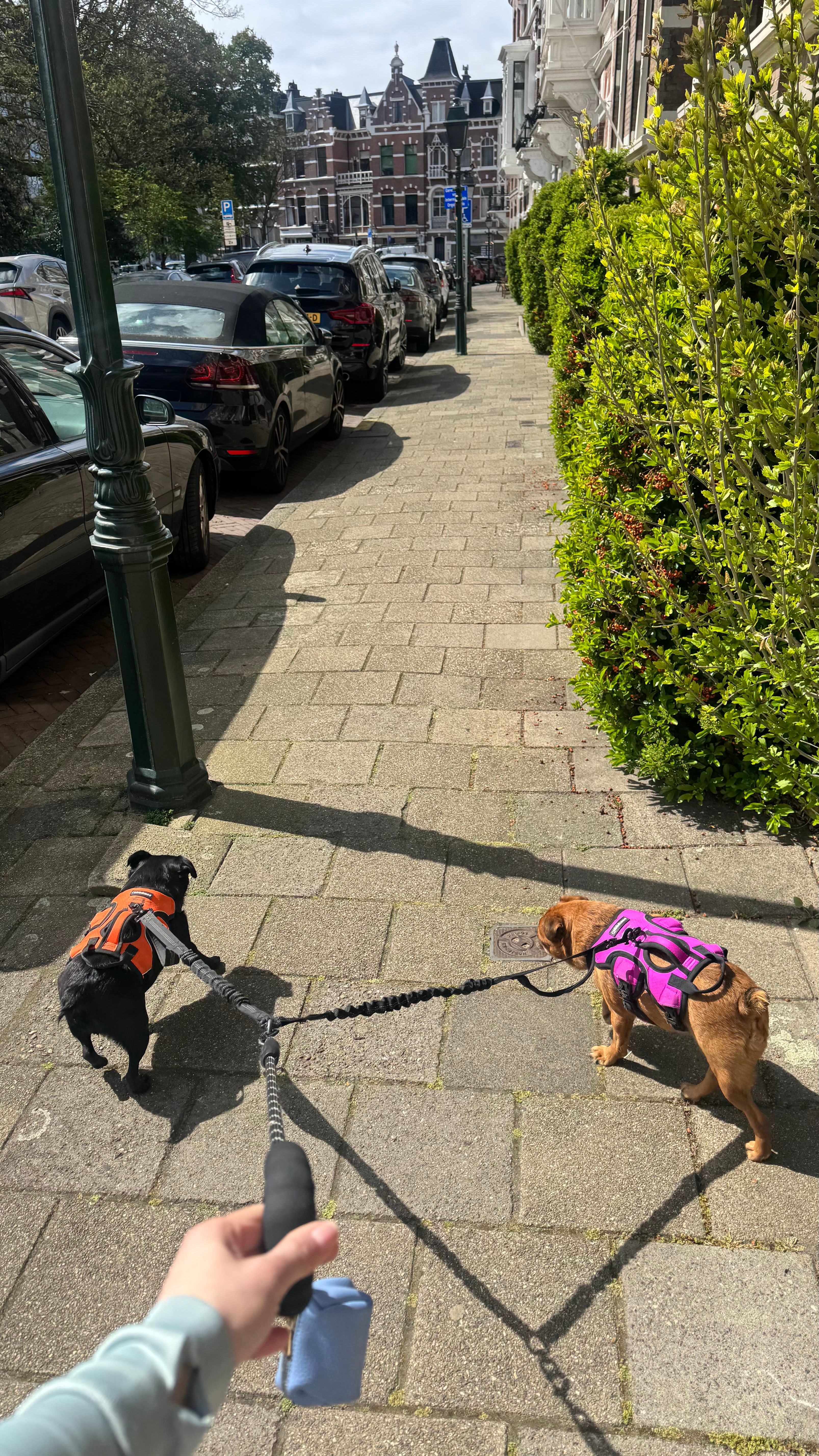 image-17